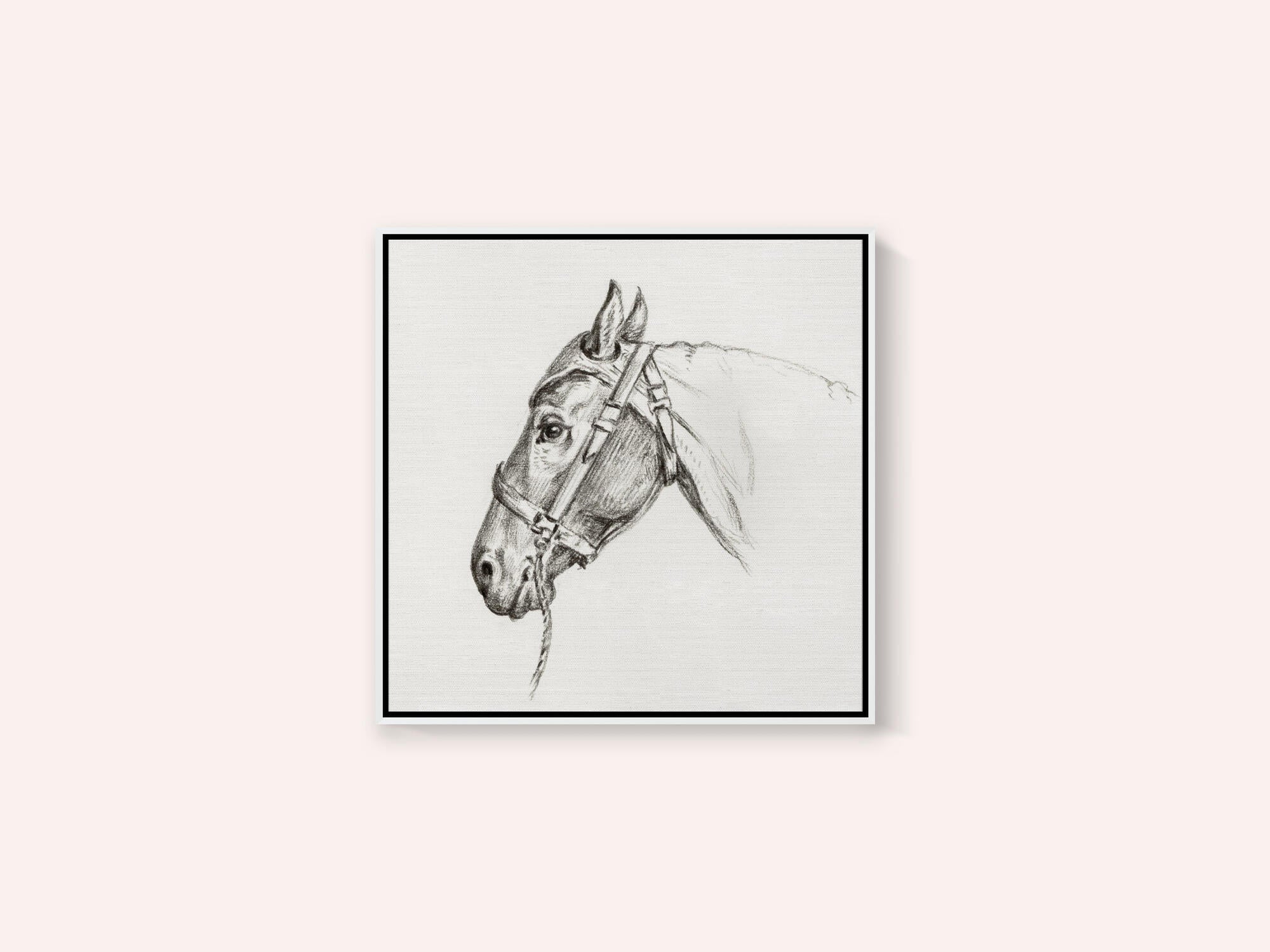 Head of a Horse (1818)