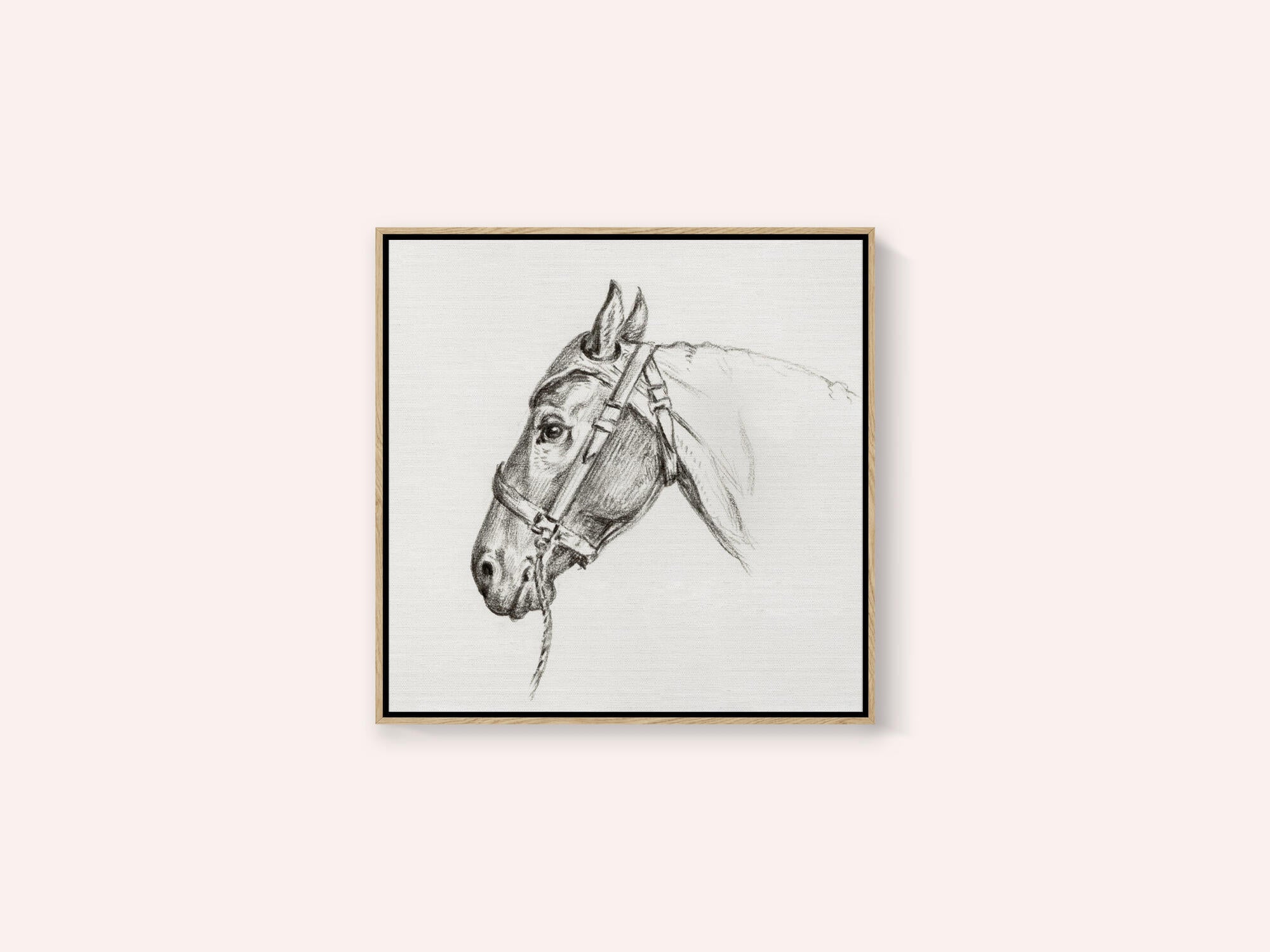 Head of a Horse (1818)