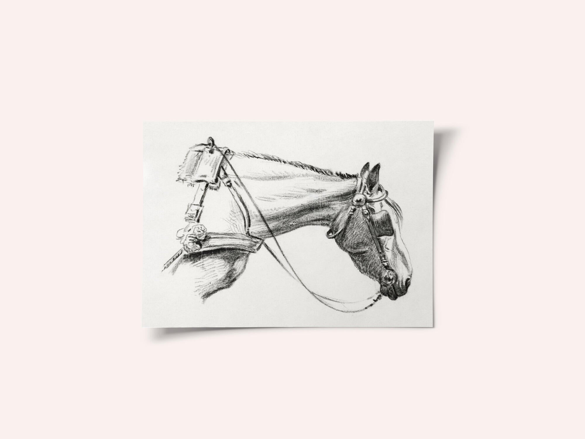 Head of a Horse (1820)