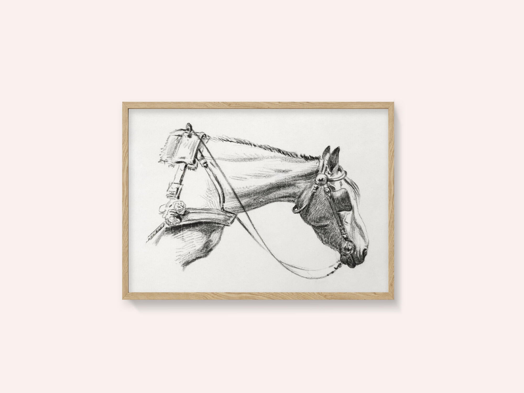 Head of a Horse (1820)