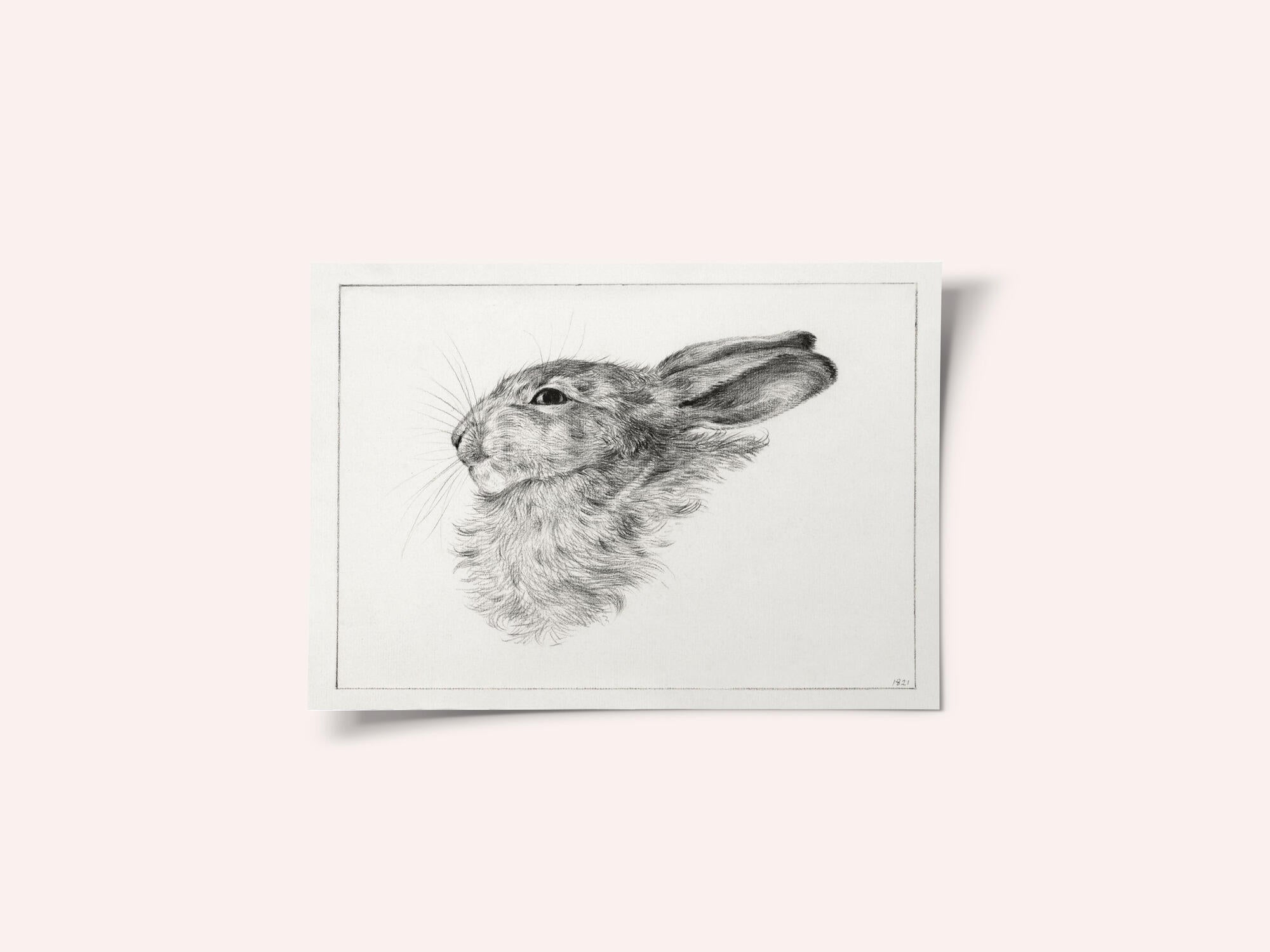 Head of a Rabbit (1821)