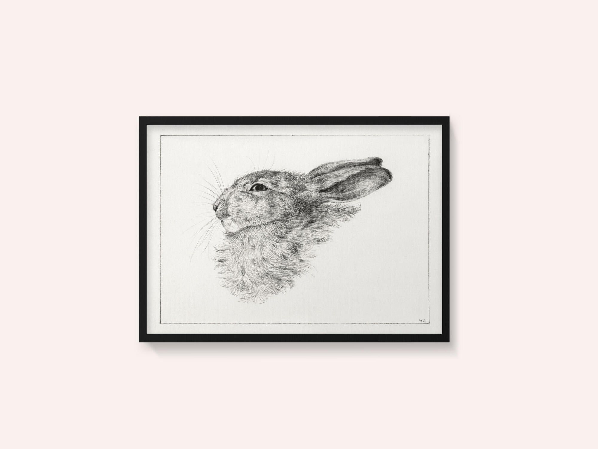 Head of a Rabbit (1821)