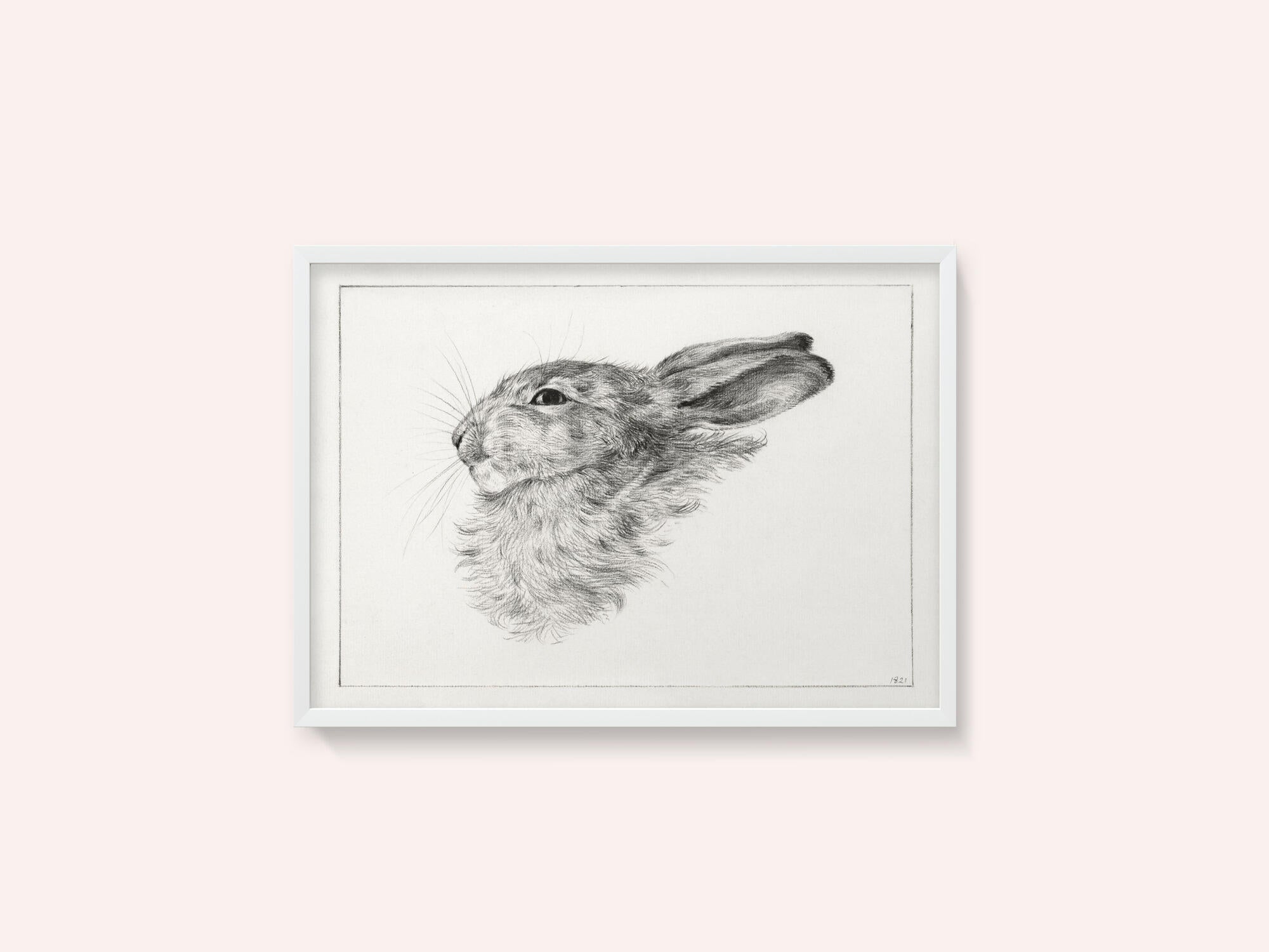 Head of a Rabbit (1821)