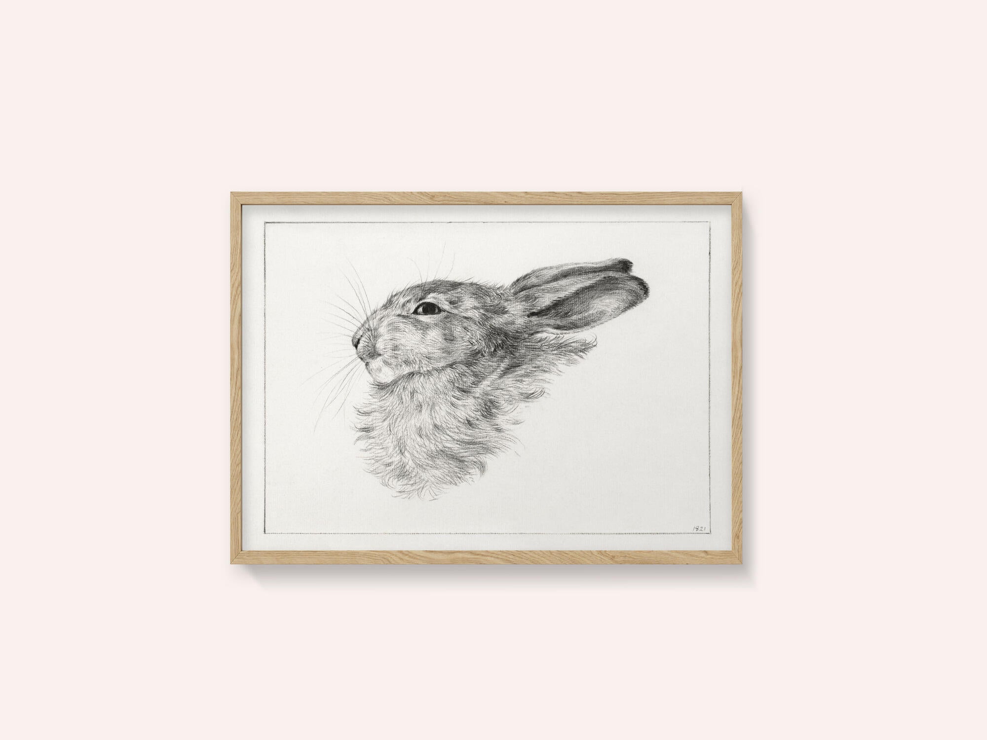 Head of a Rabbit (1821)