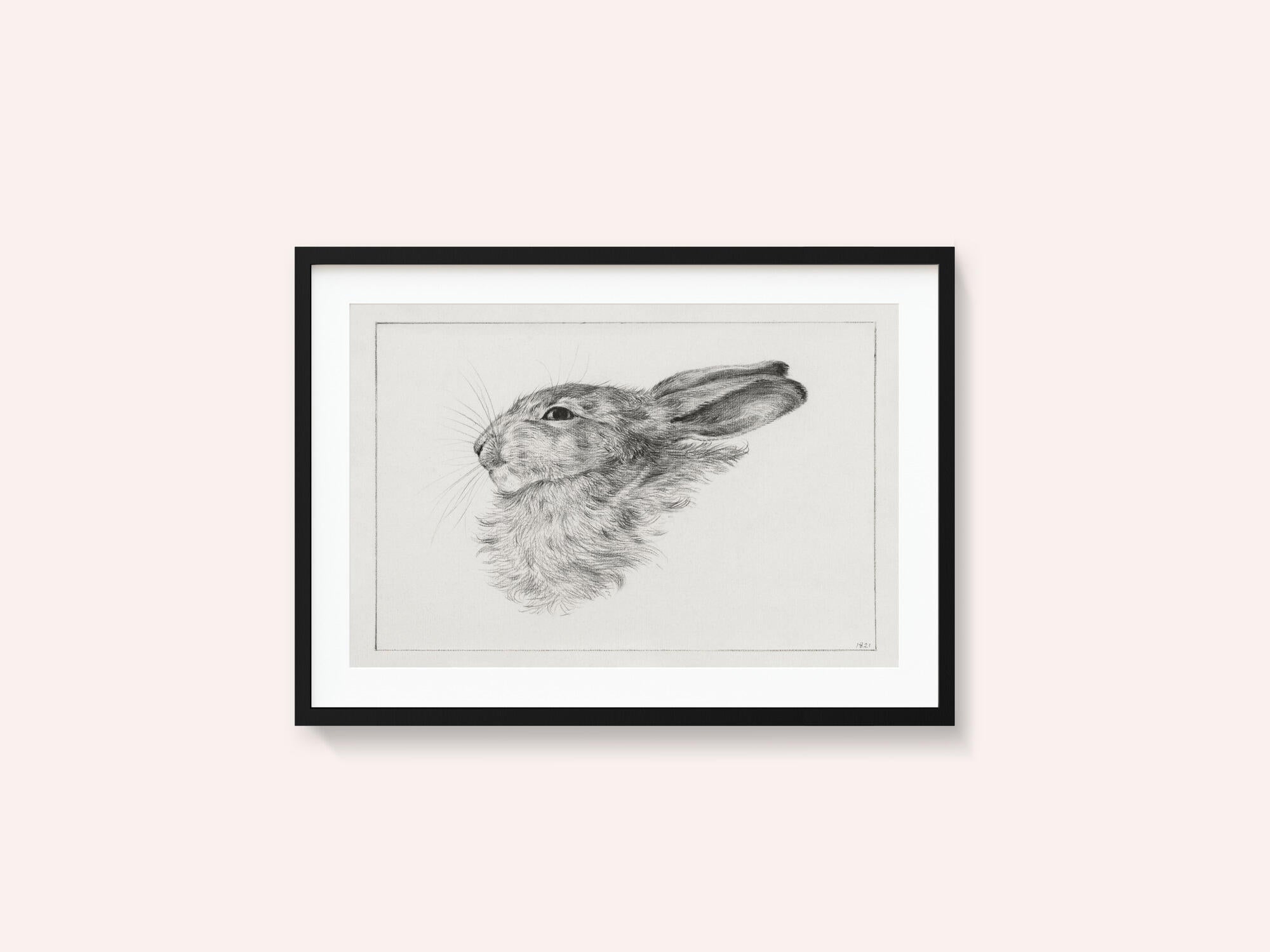 Head of a Rabbit (1821)