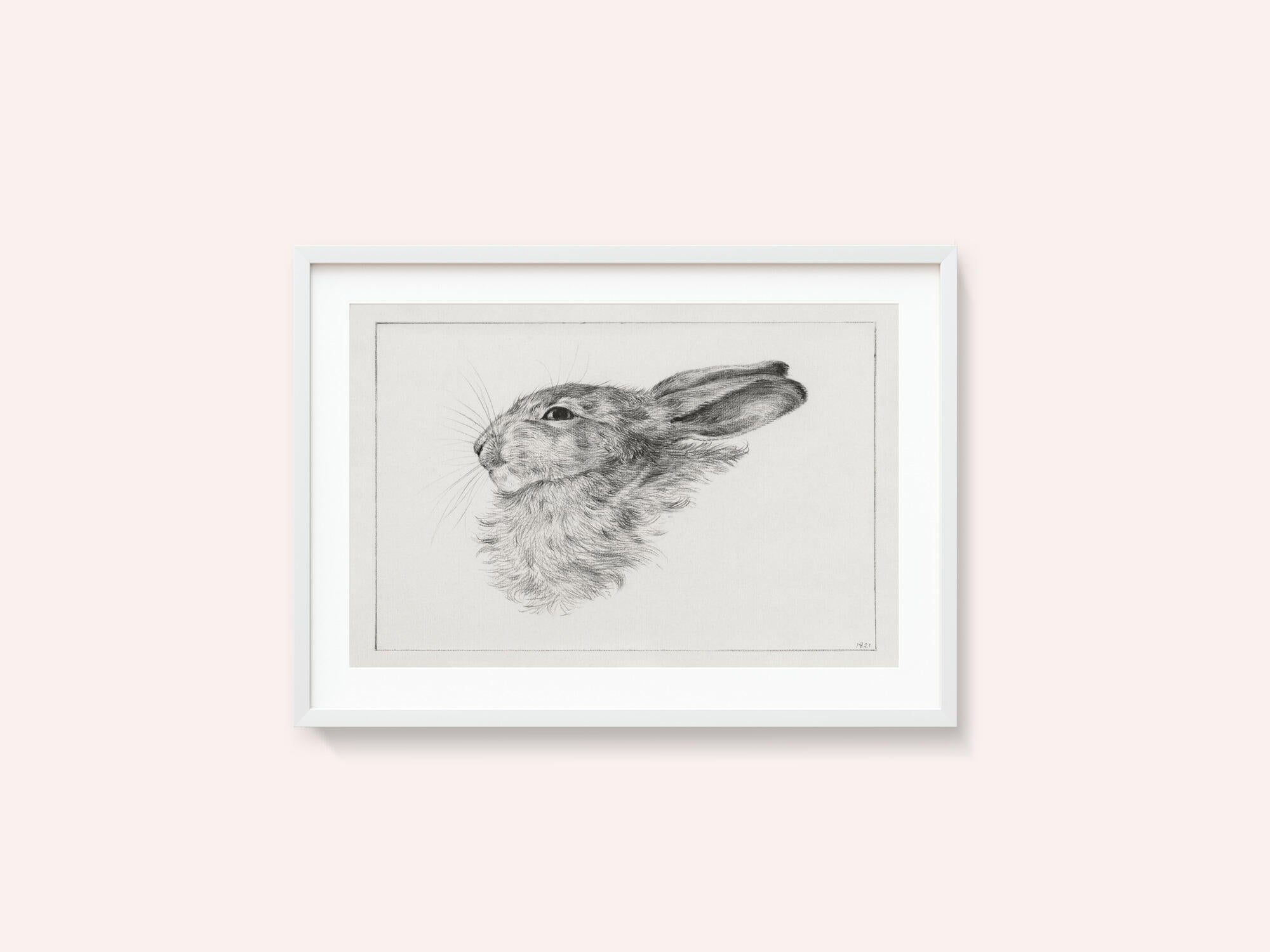 Head of a Rabbit (1821)