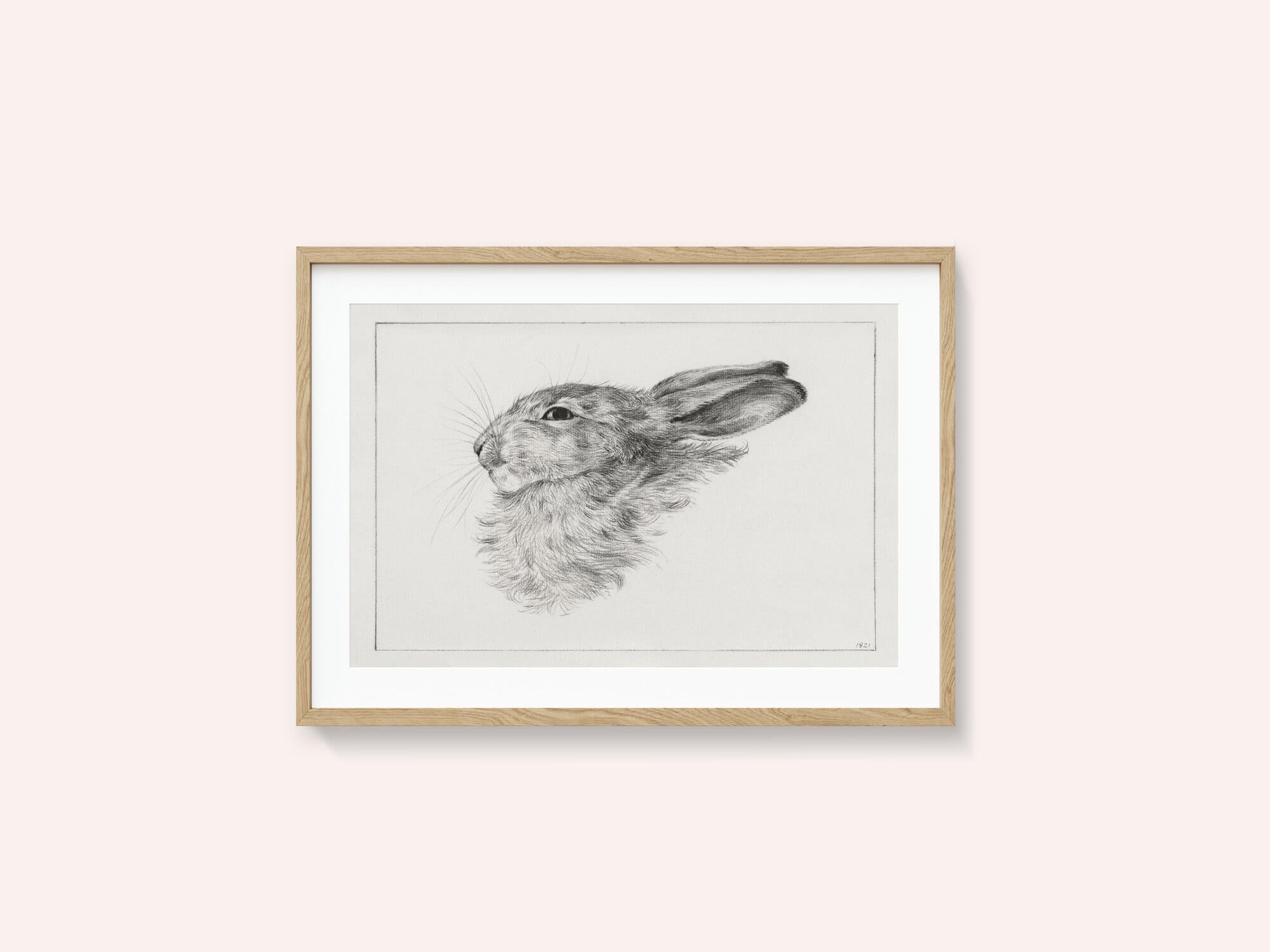 Head of a Rabbit (1821)