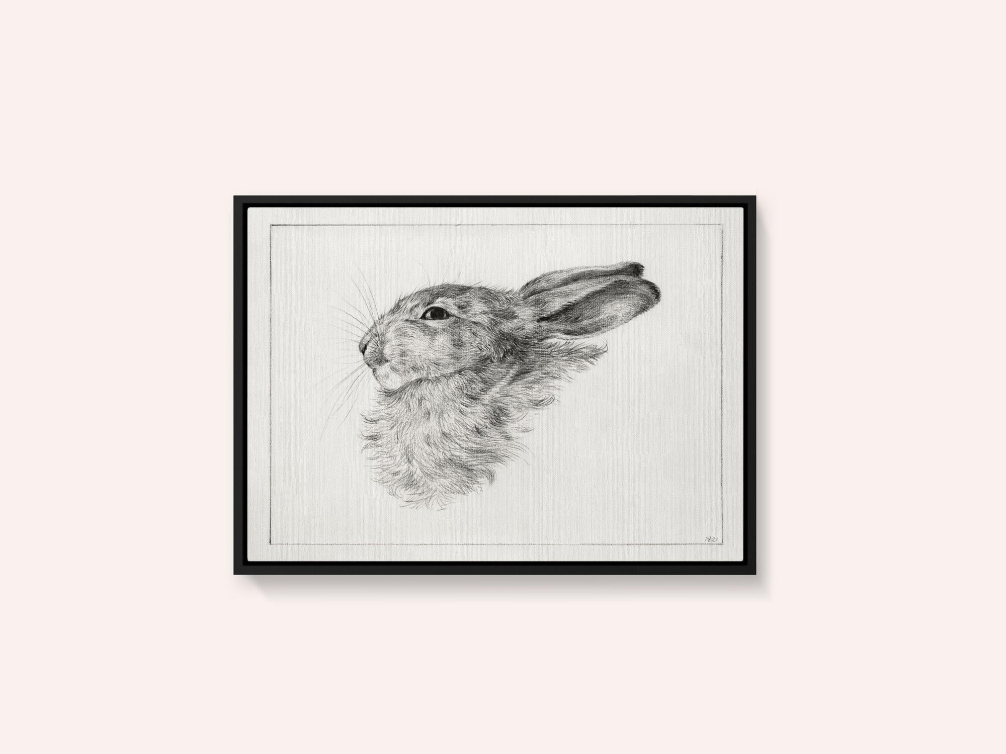 Head of a Rabbit (1821)