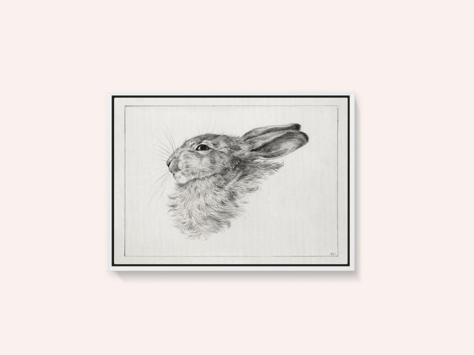 Head of a Rabbit (1821)