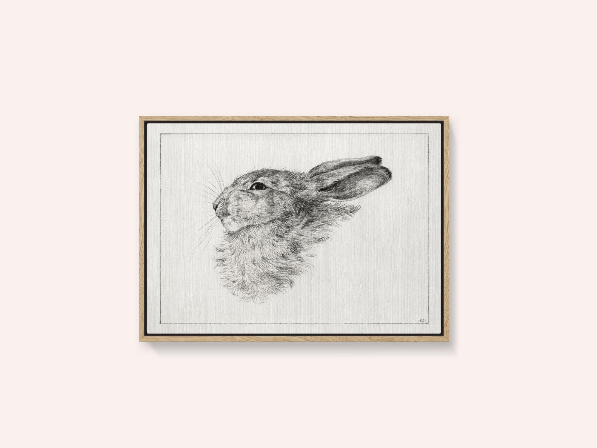 Head of a Rabbit (1821)