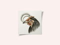 Head of a Rooster (1816)