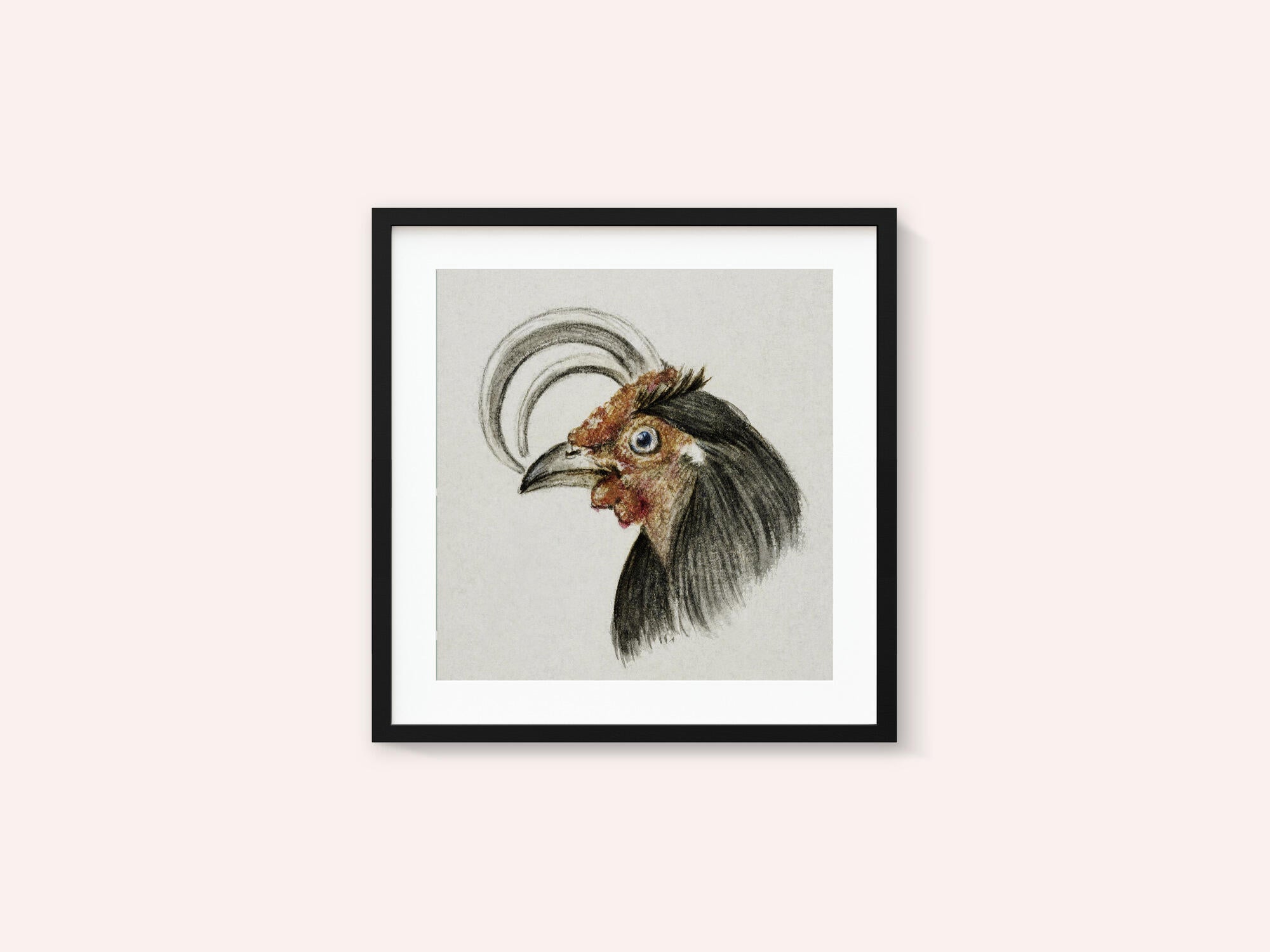 Head of a Rooster (1816)