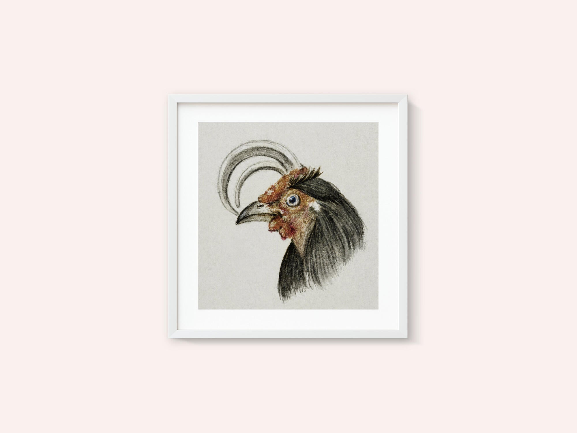 Head of a Rooster (1816)