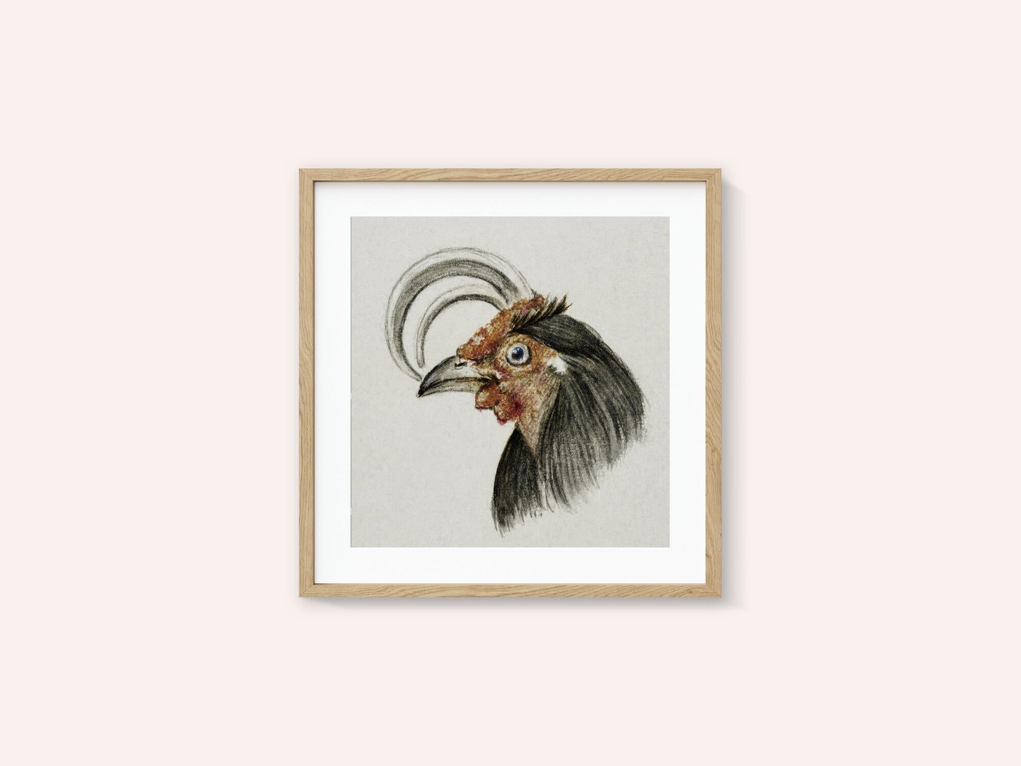 Head of a Rooster (1816)