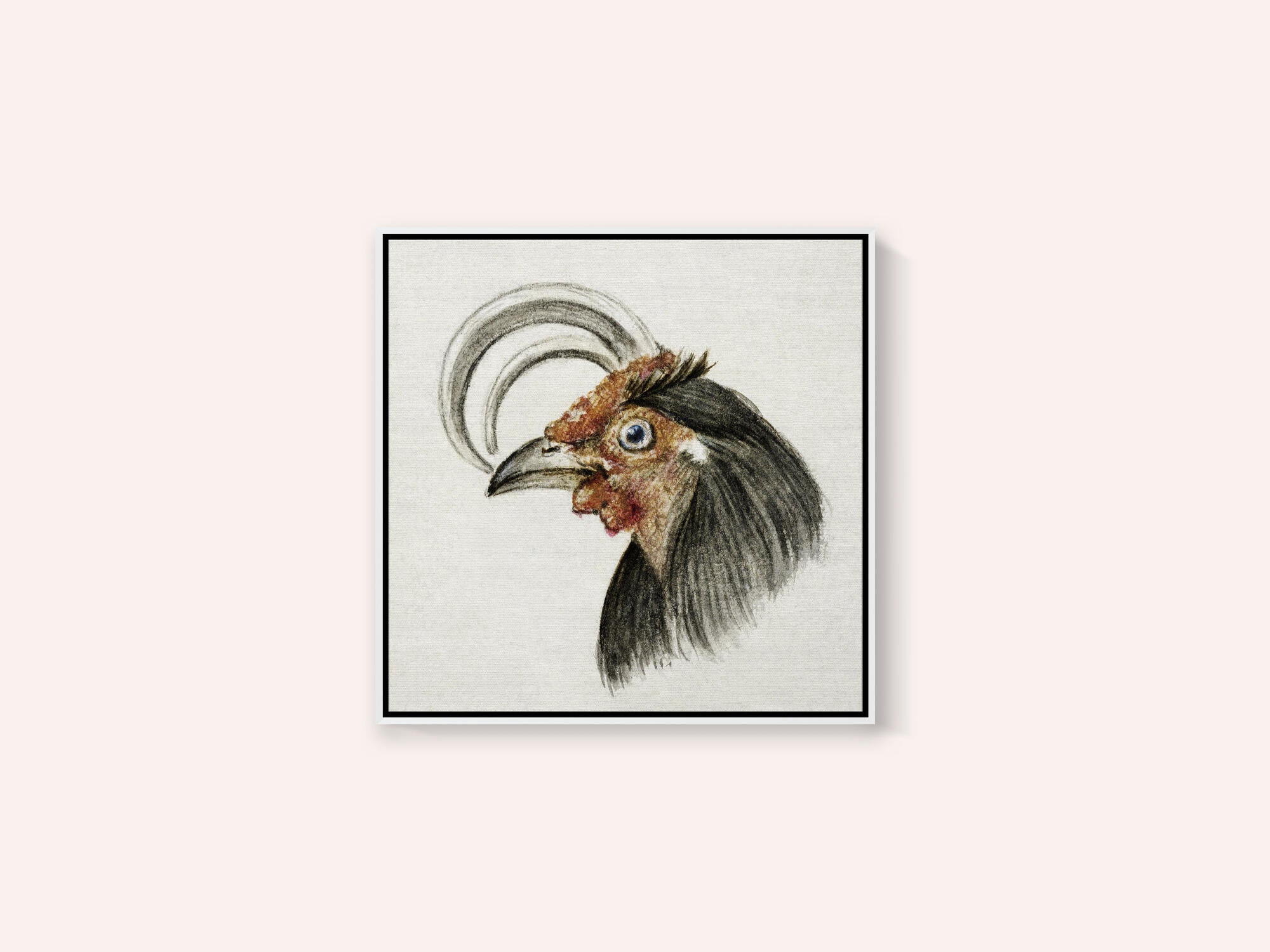 Head of a Rooster (1816)