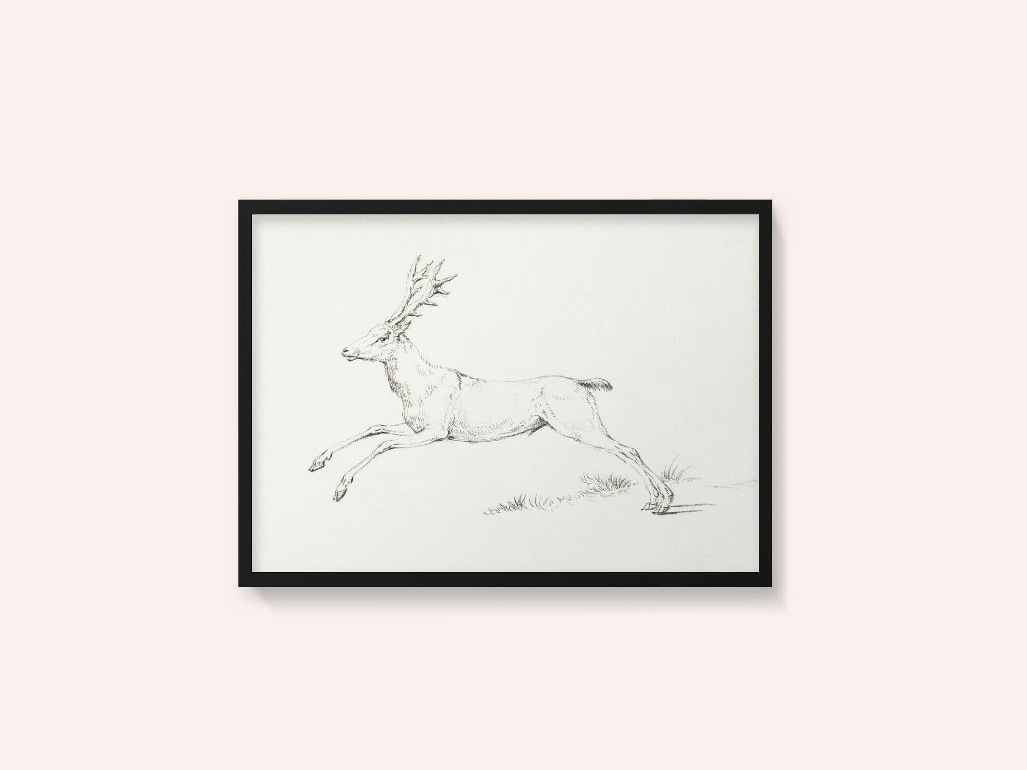 Jumping Deer