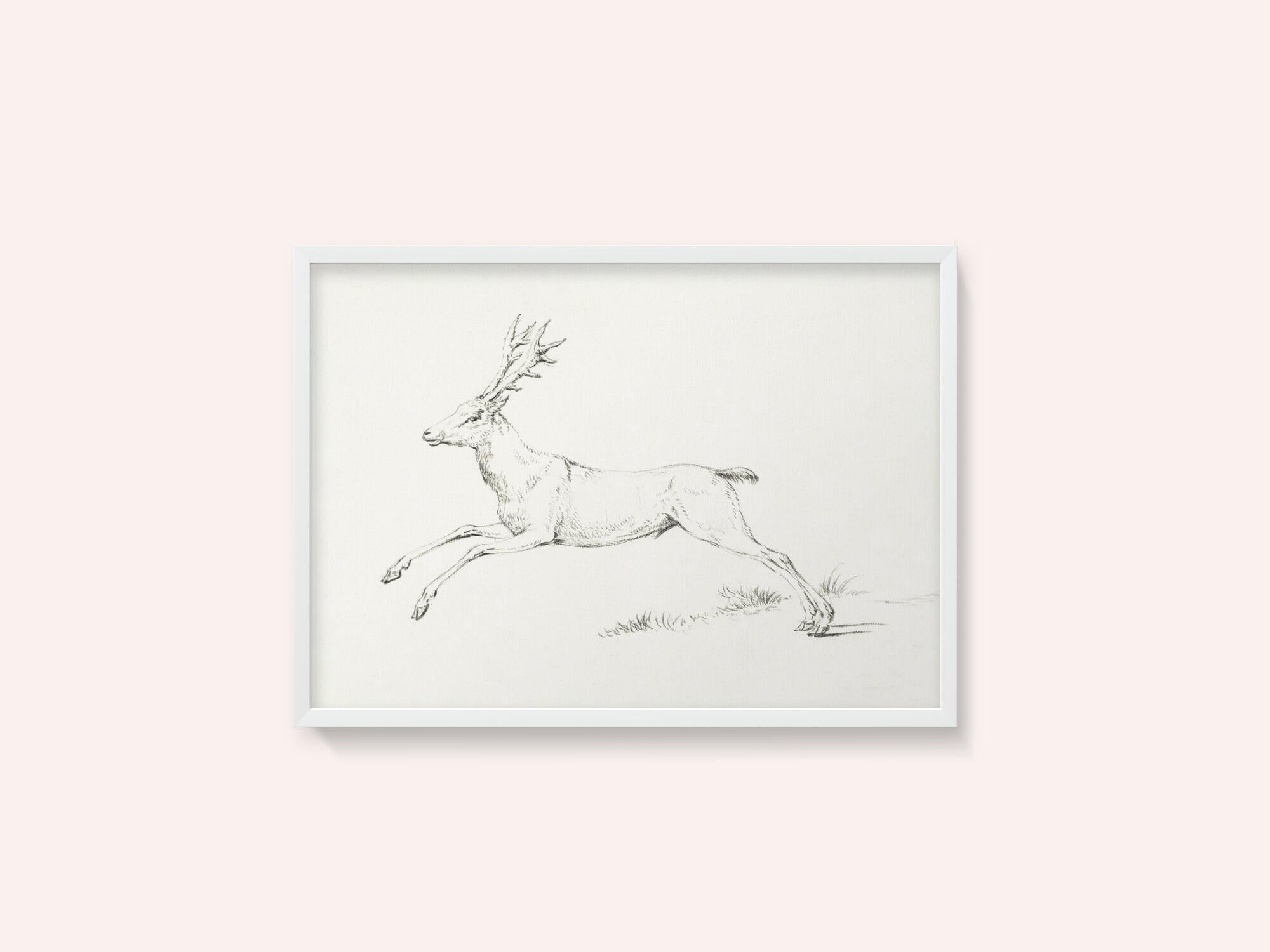 Jumping Deer