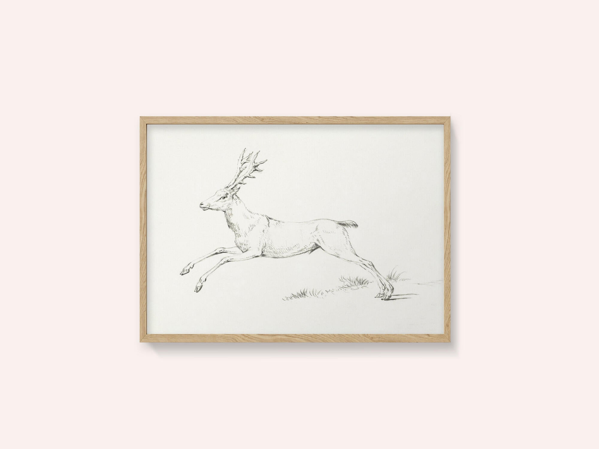 Jumping Deer