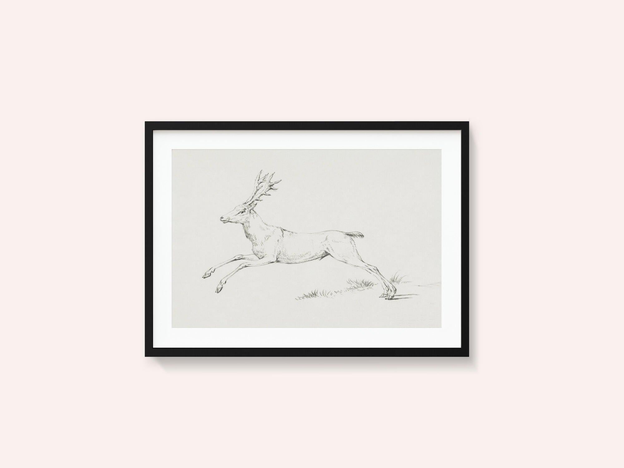 Jumping Deer