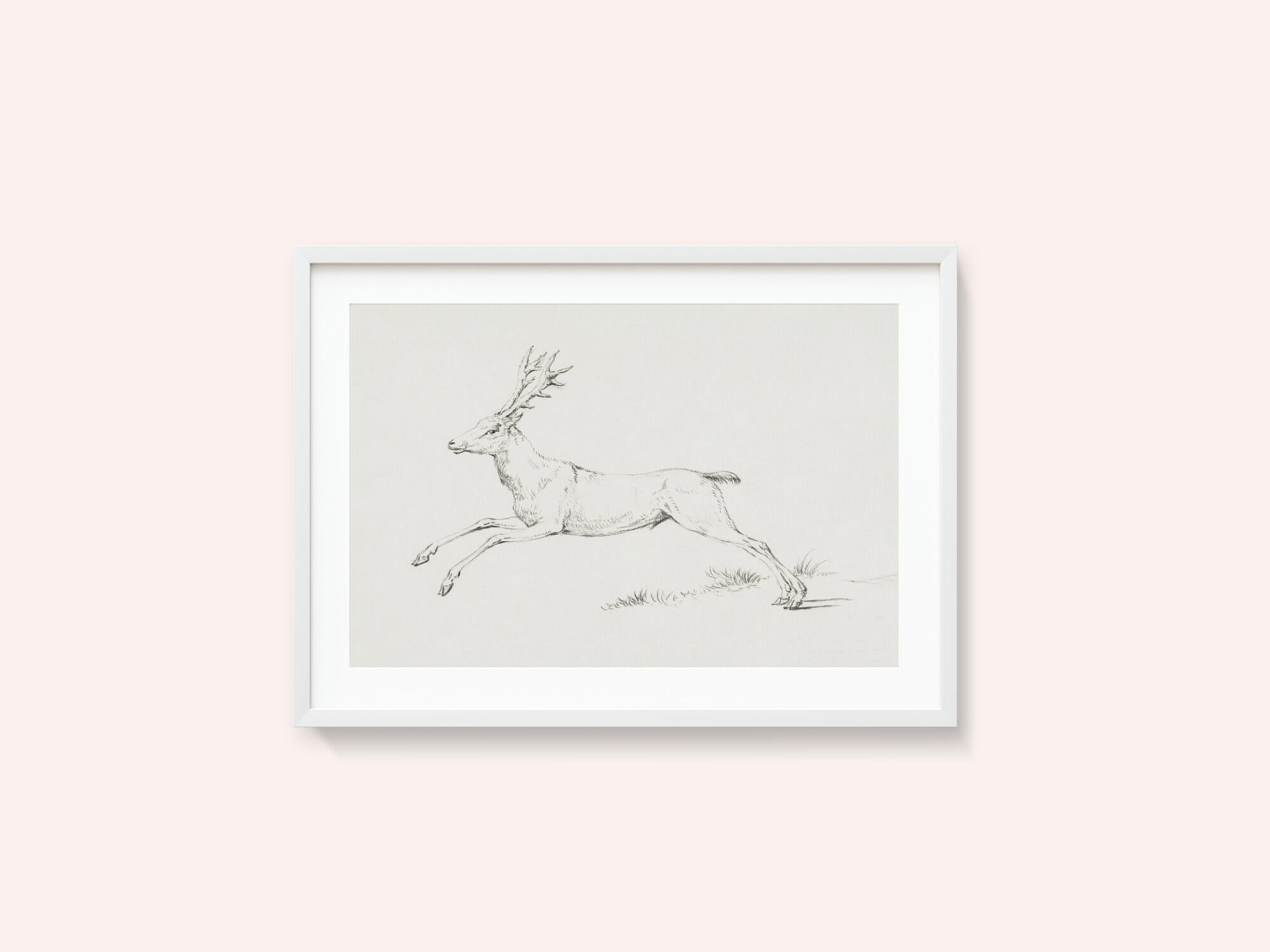 Jumping Deer