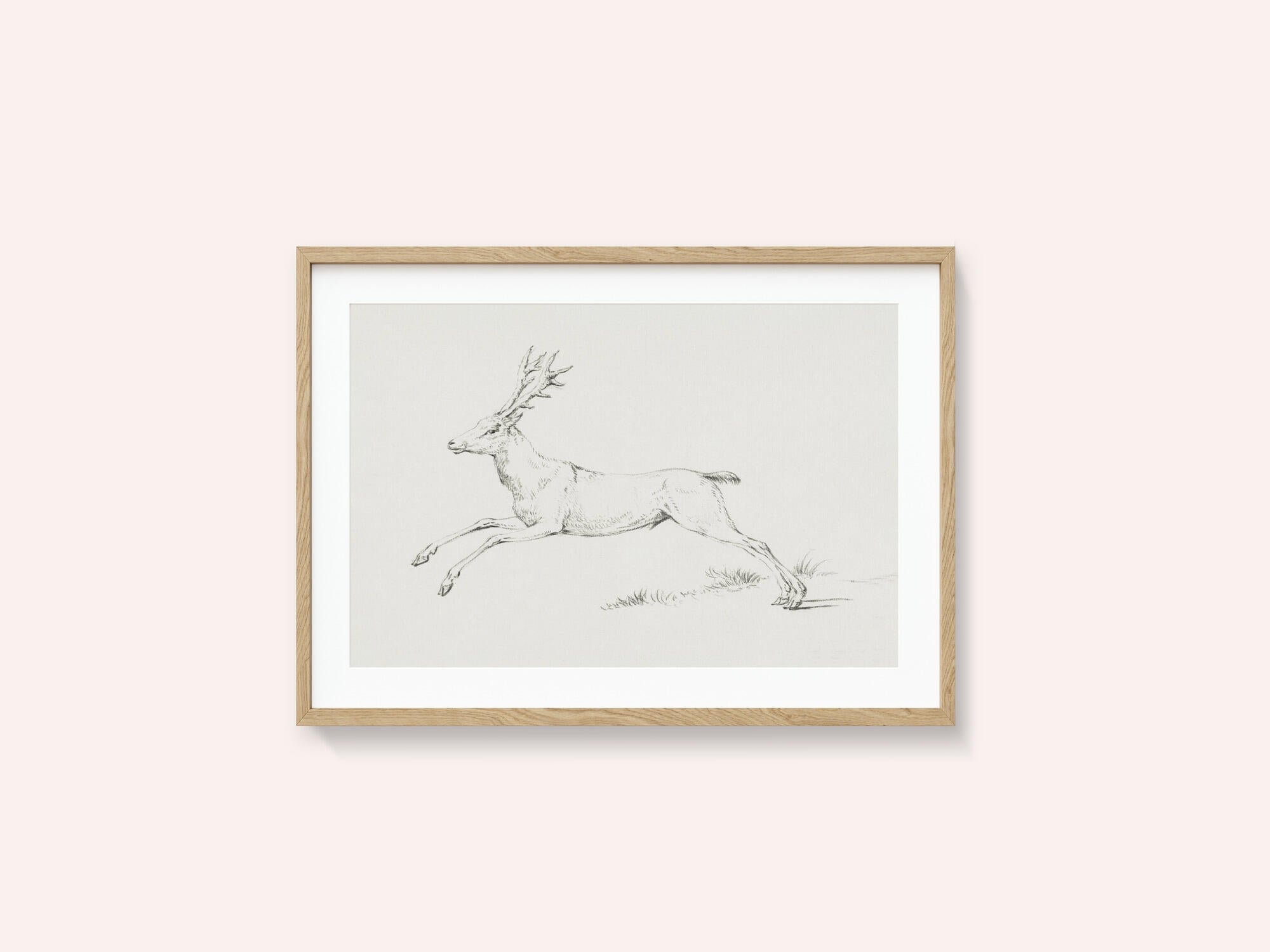 Jumping Deer