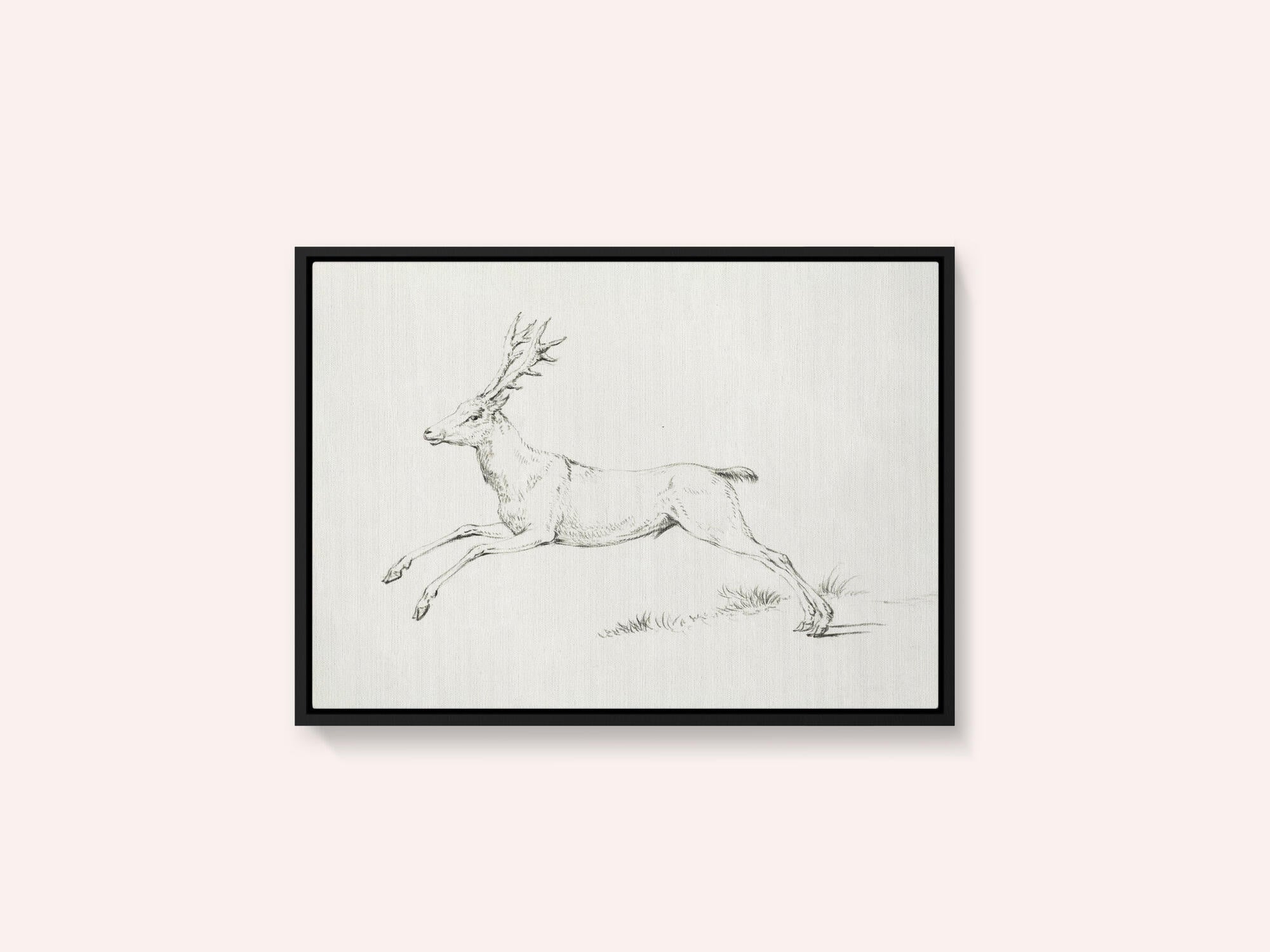 Jumping Deer