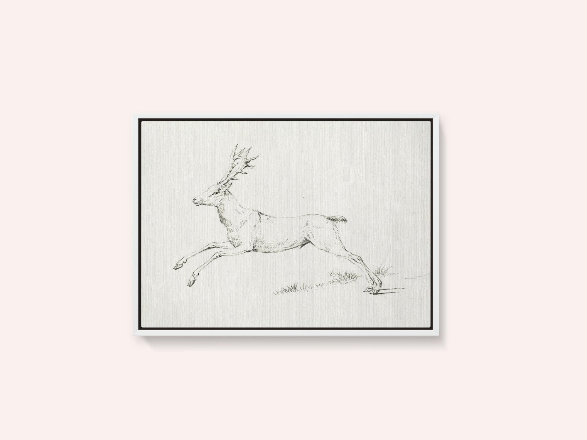 Jumping Deer