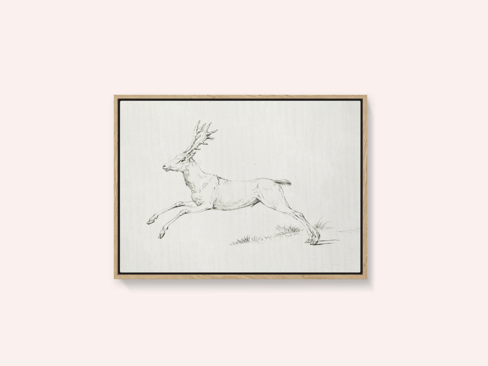 Jumping Deer