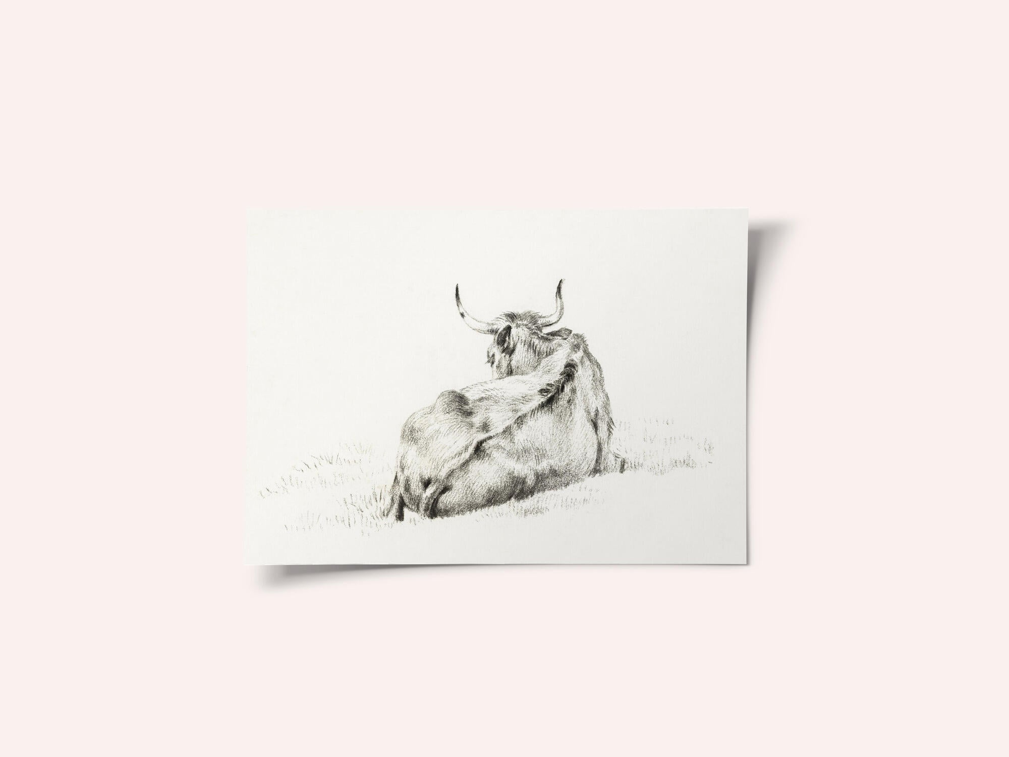Lying Cow (1815)