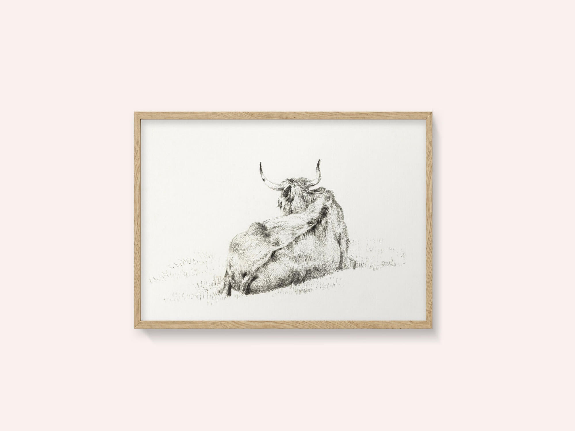 Lying Cow (1815)