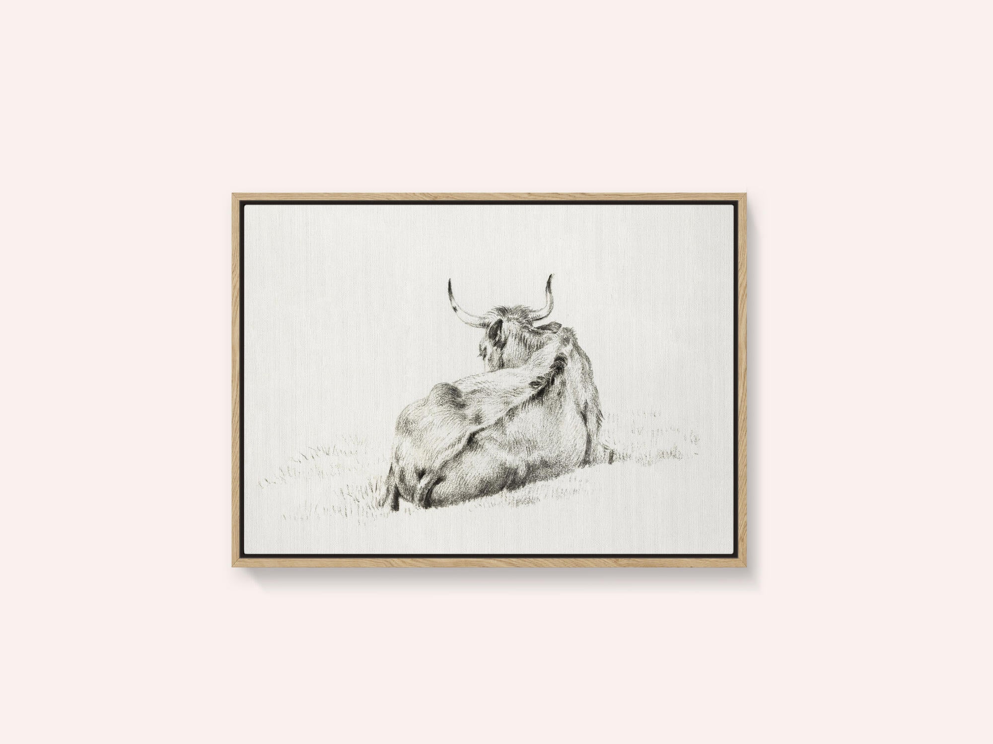 Lying Cow (1815)