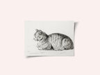 Lying Cat (1811)