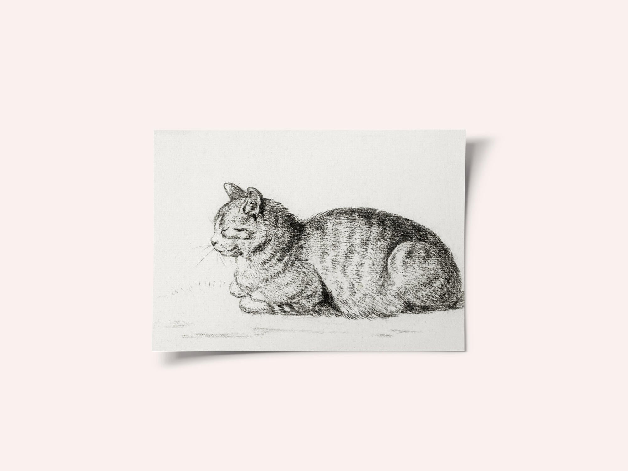 Lying Cat (1811)