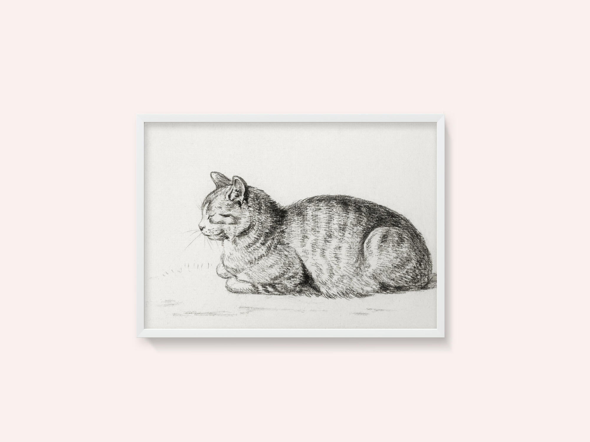 Lying Cat (1811)