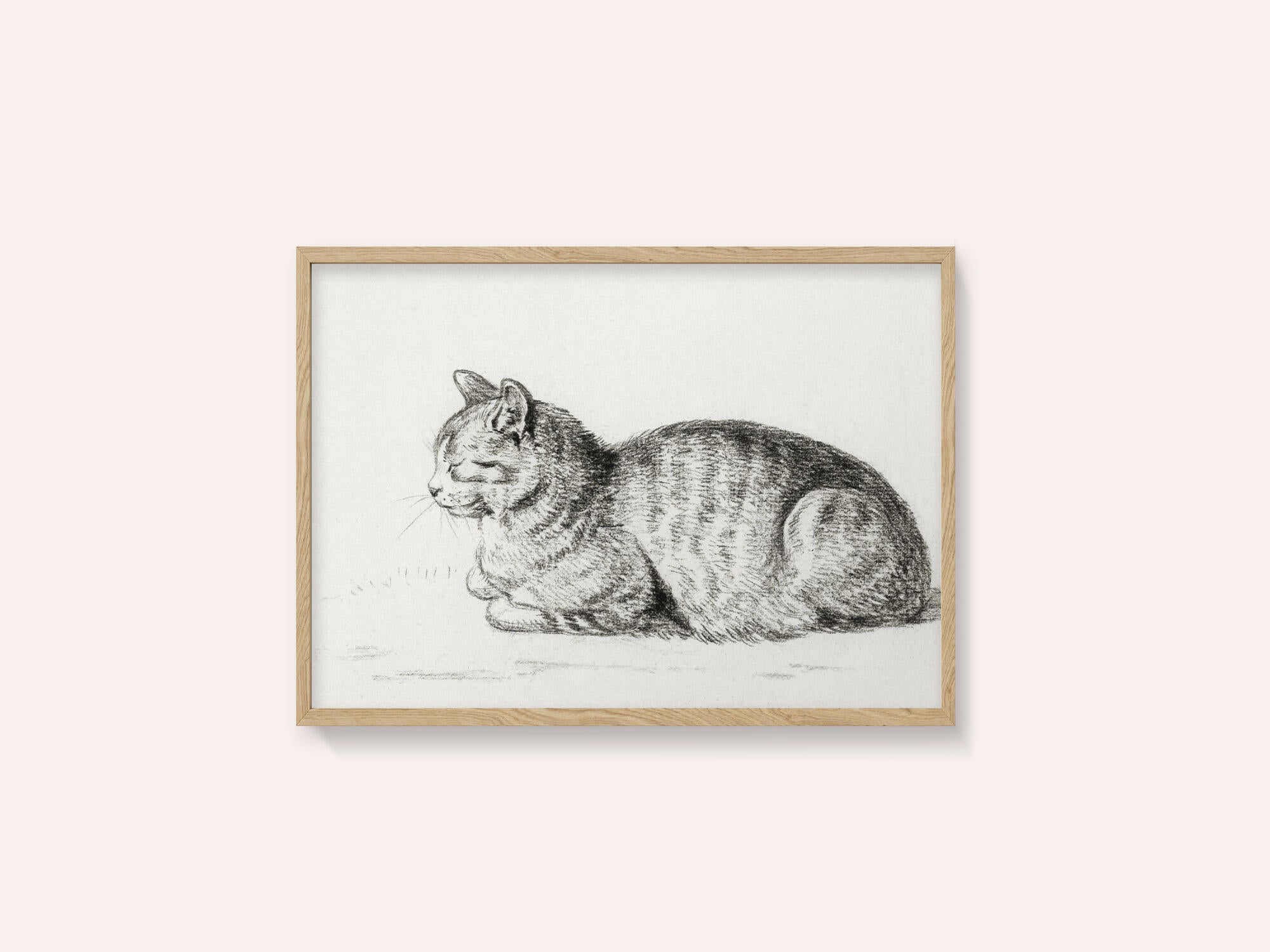 Lying Cat (1811)