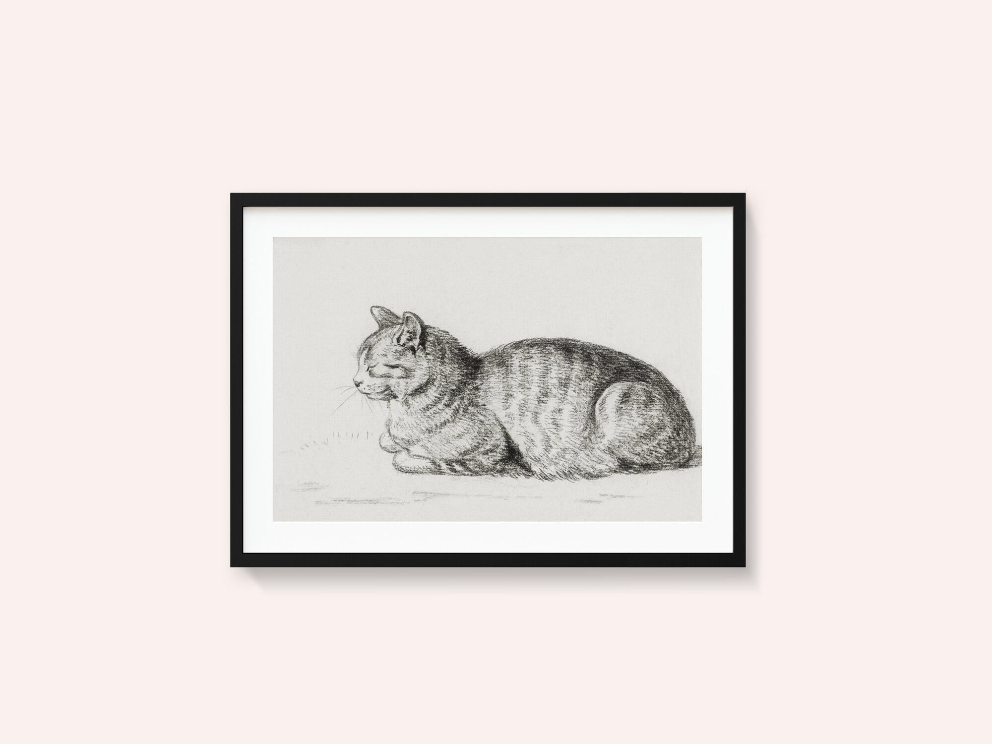 Lying Cat (1811)