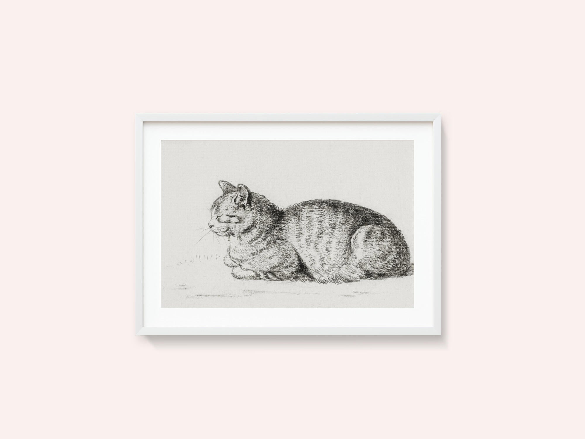 Lying Cat (1811)