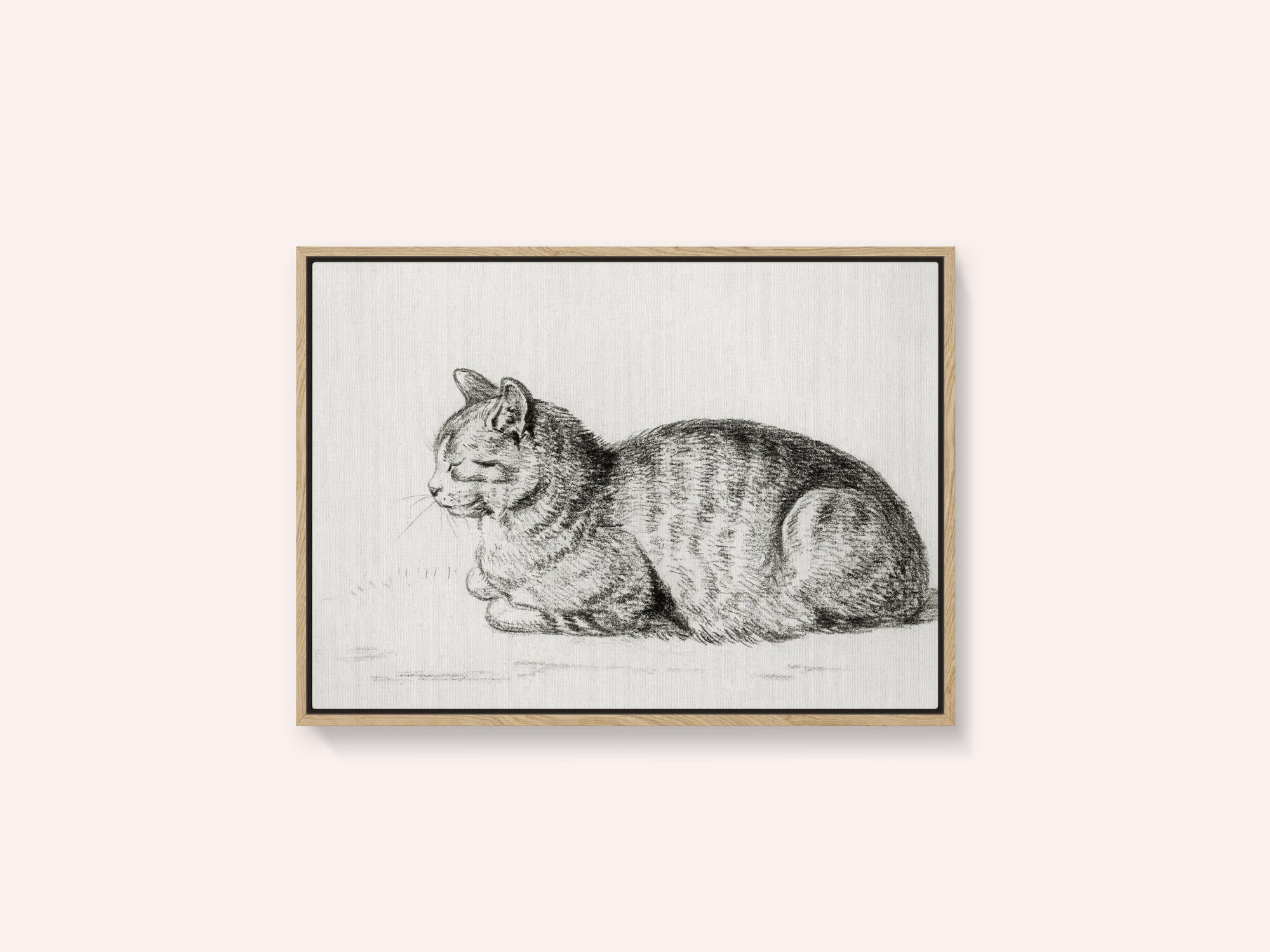 Lying Cat (1811)