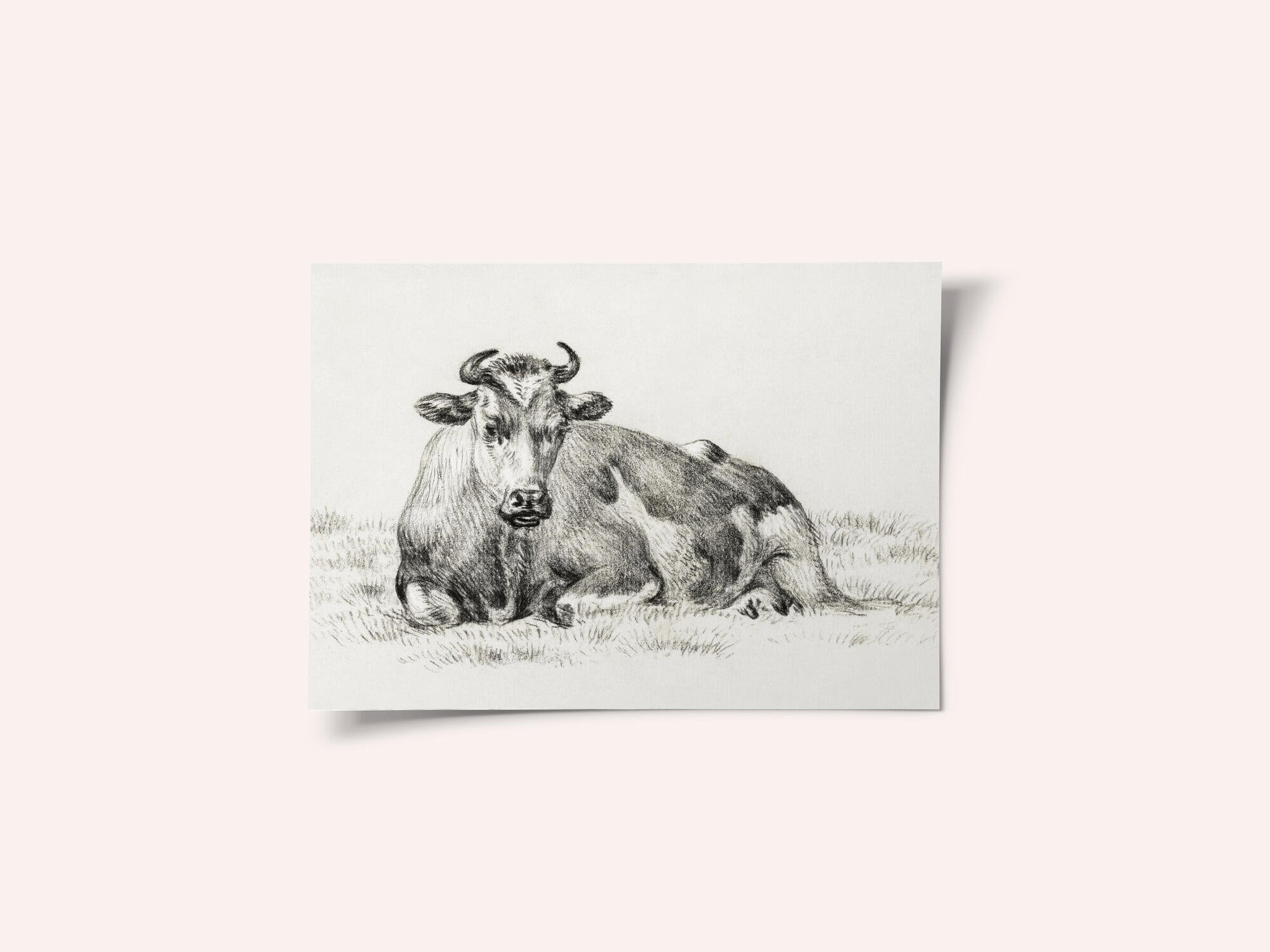 Lying Cow (1825)