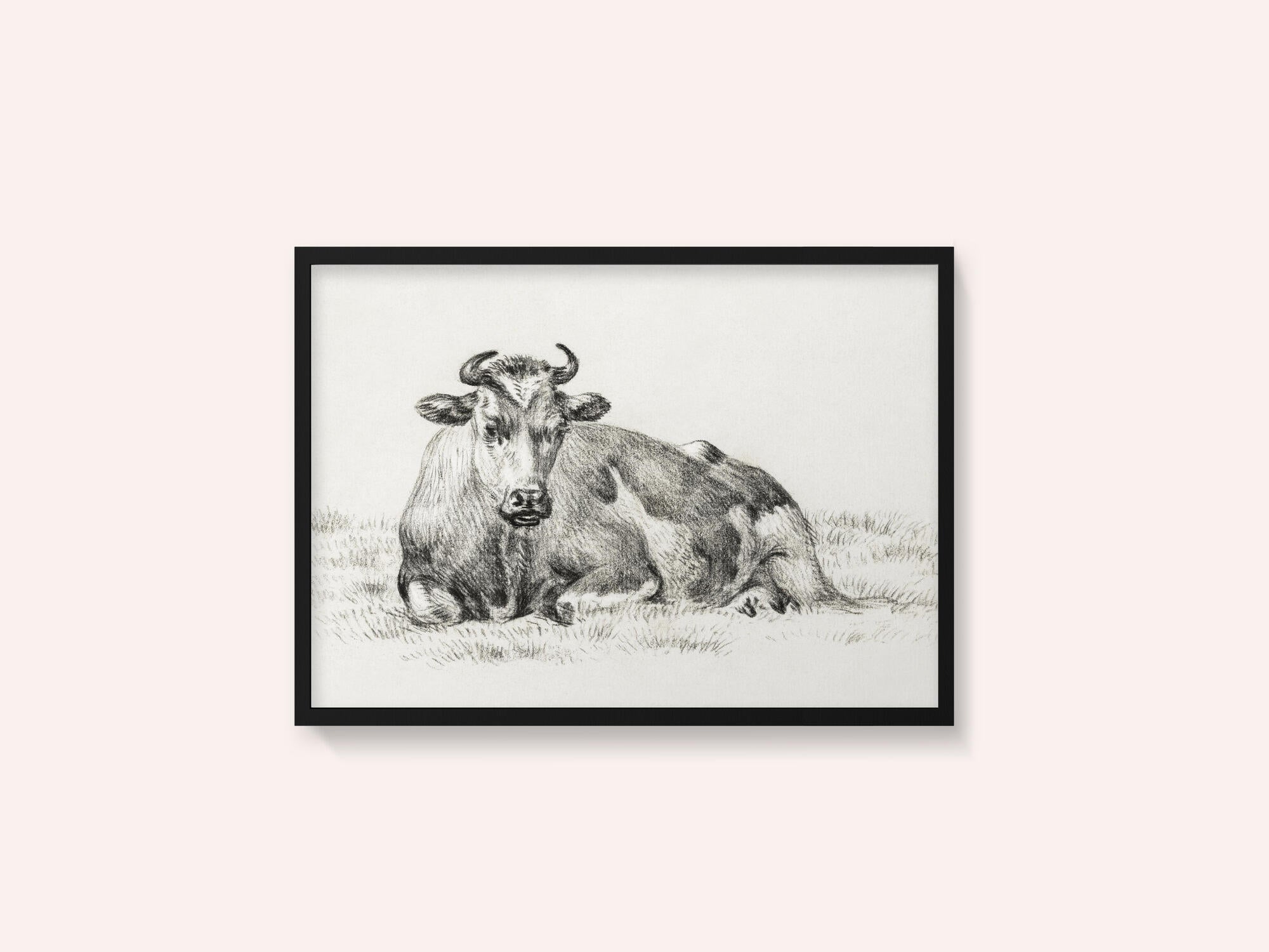 Lying Cow (1825)