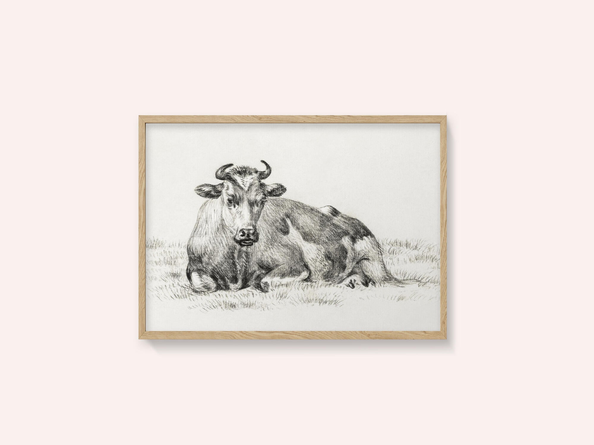 Lying Cow (1825)