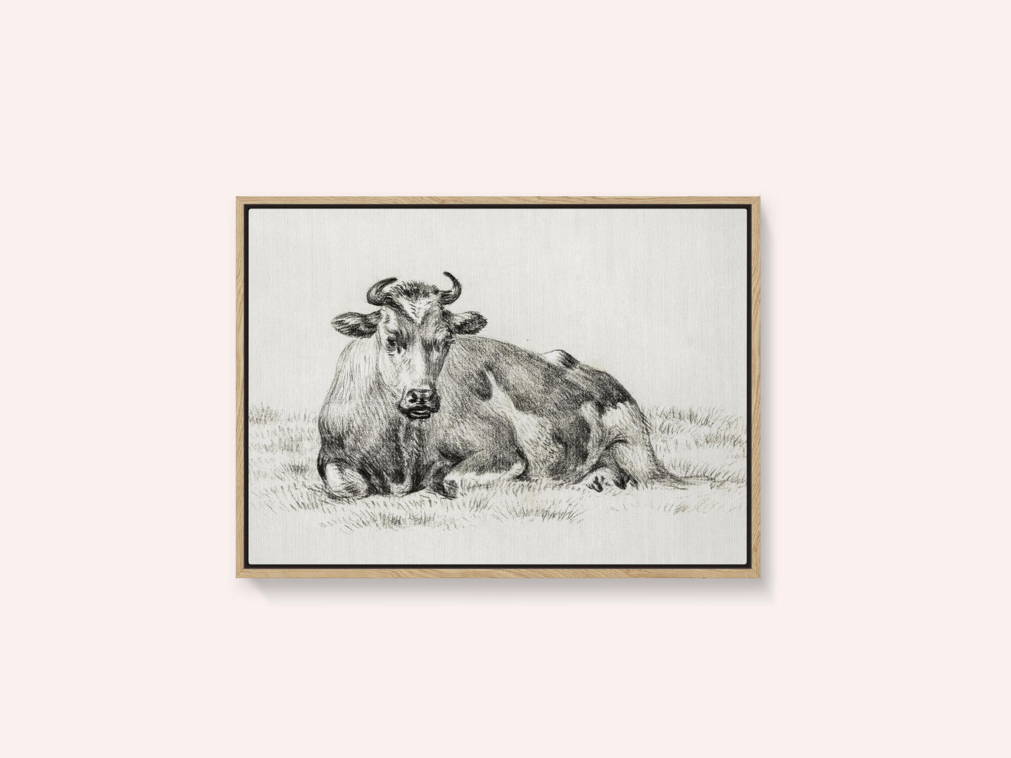 Lying Cow (1825)