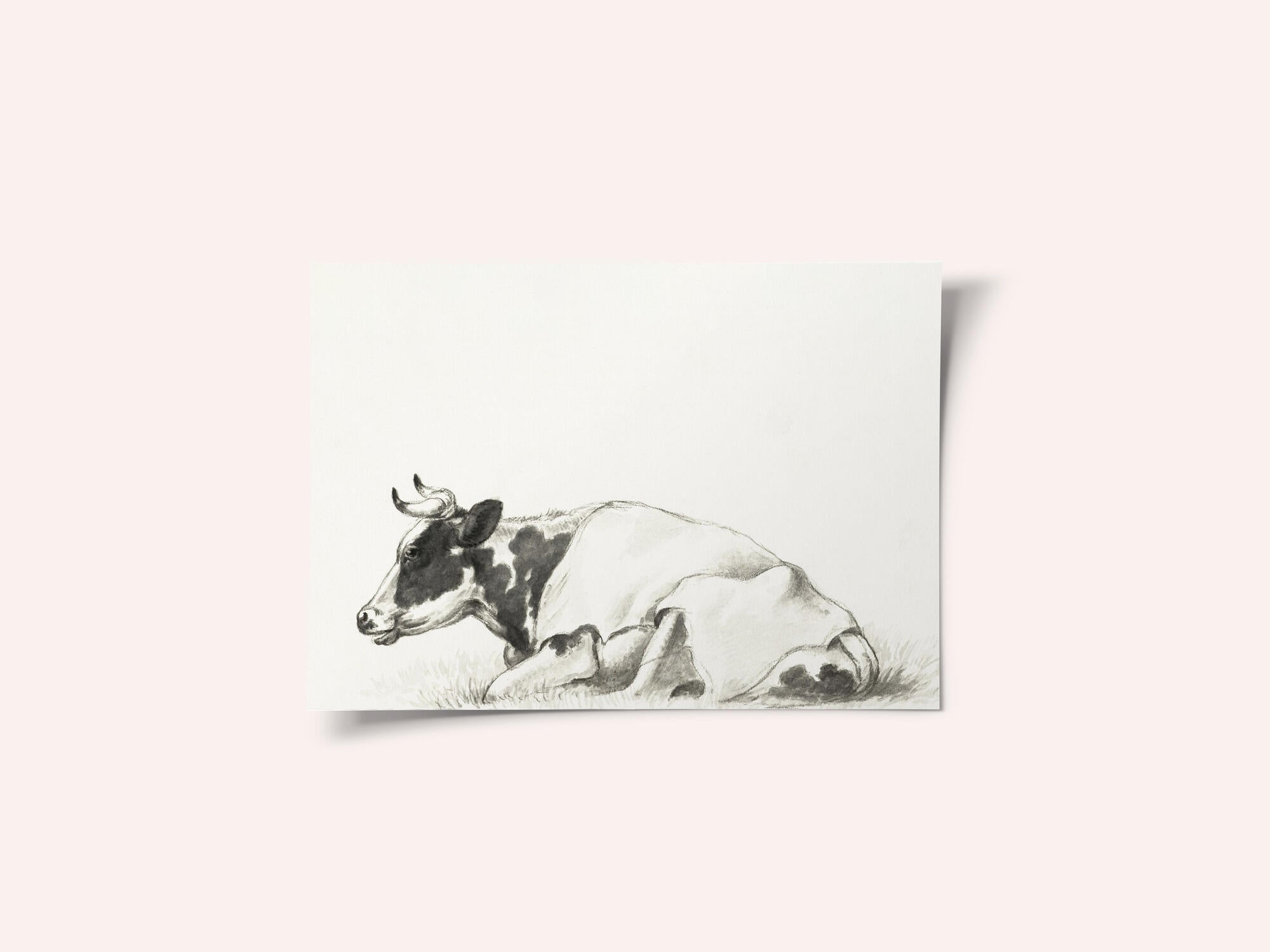 Lying Cow By Jean Bernard