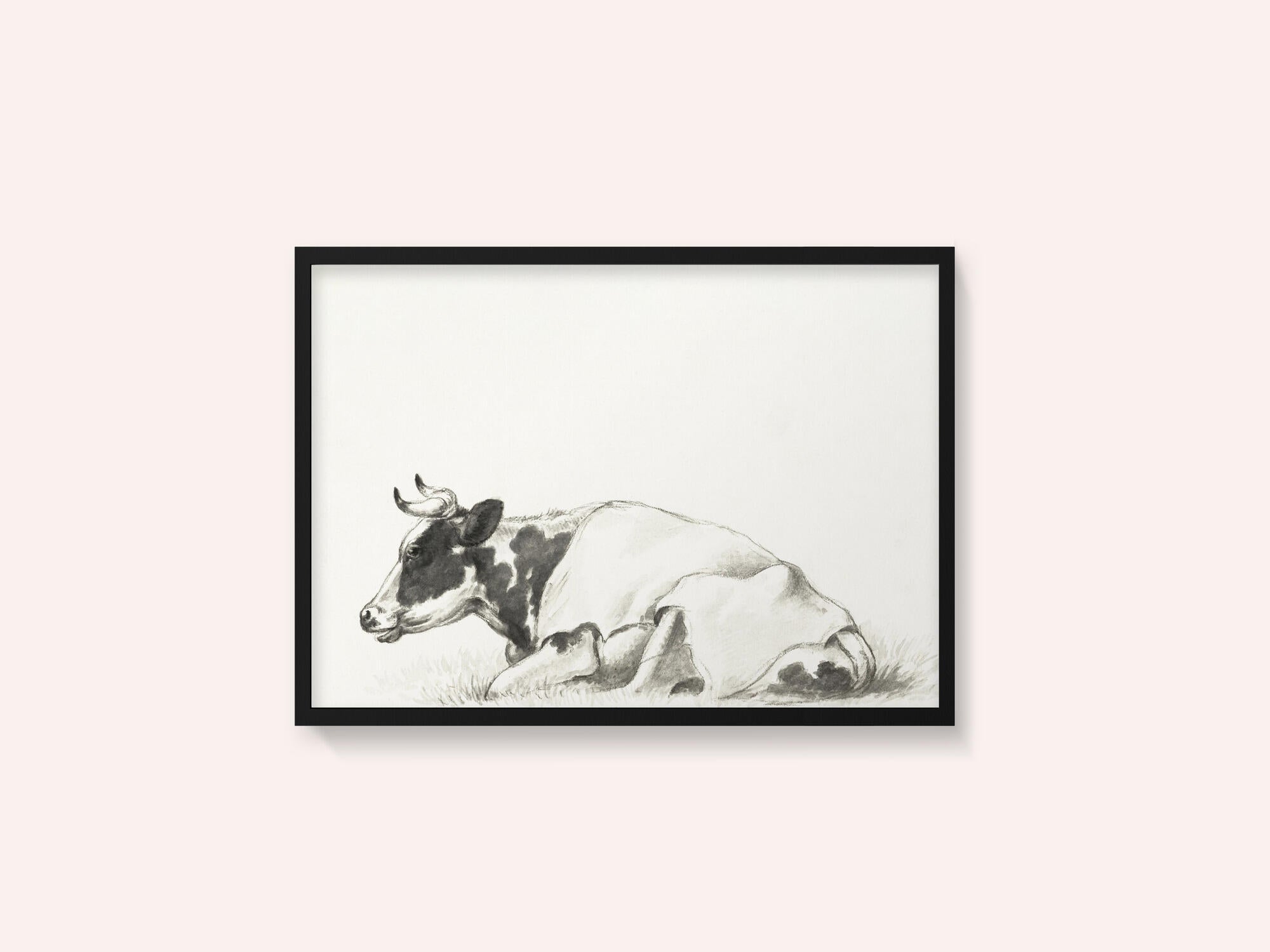 Lying Cow By Jean Bernard