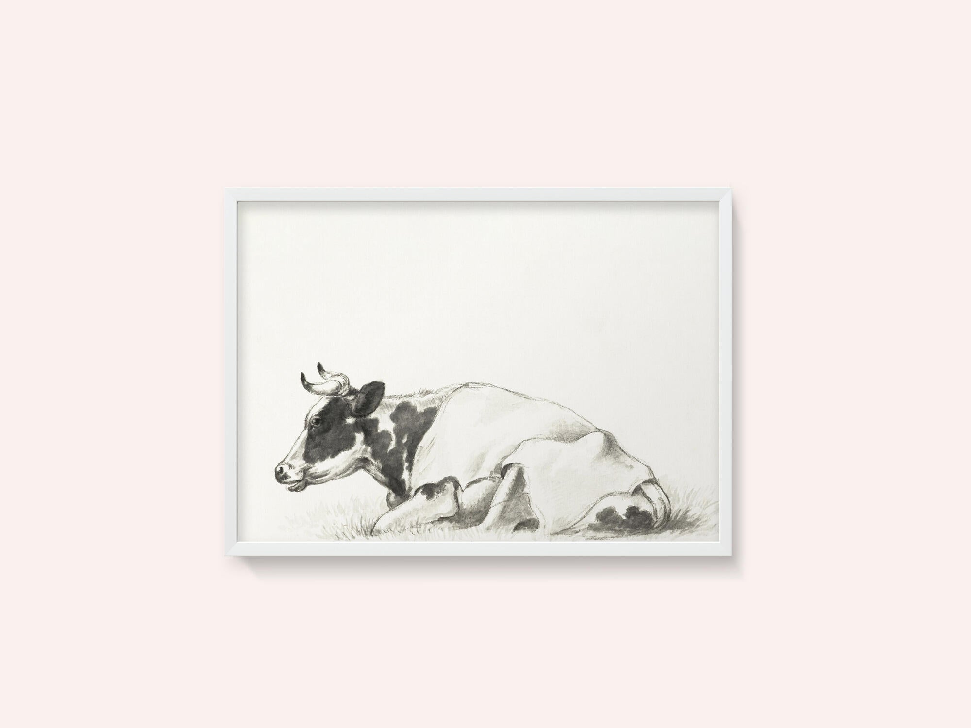 Lying Cow By Jean Bernard