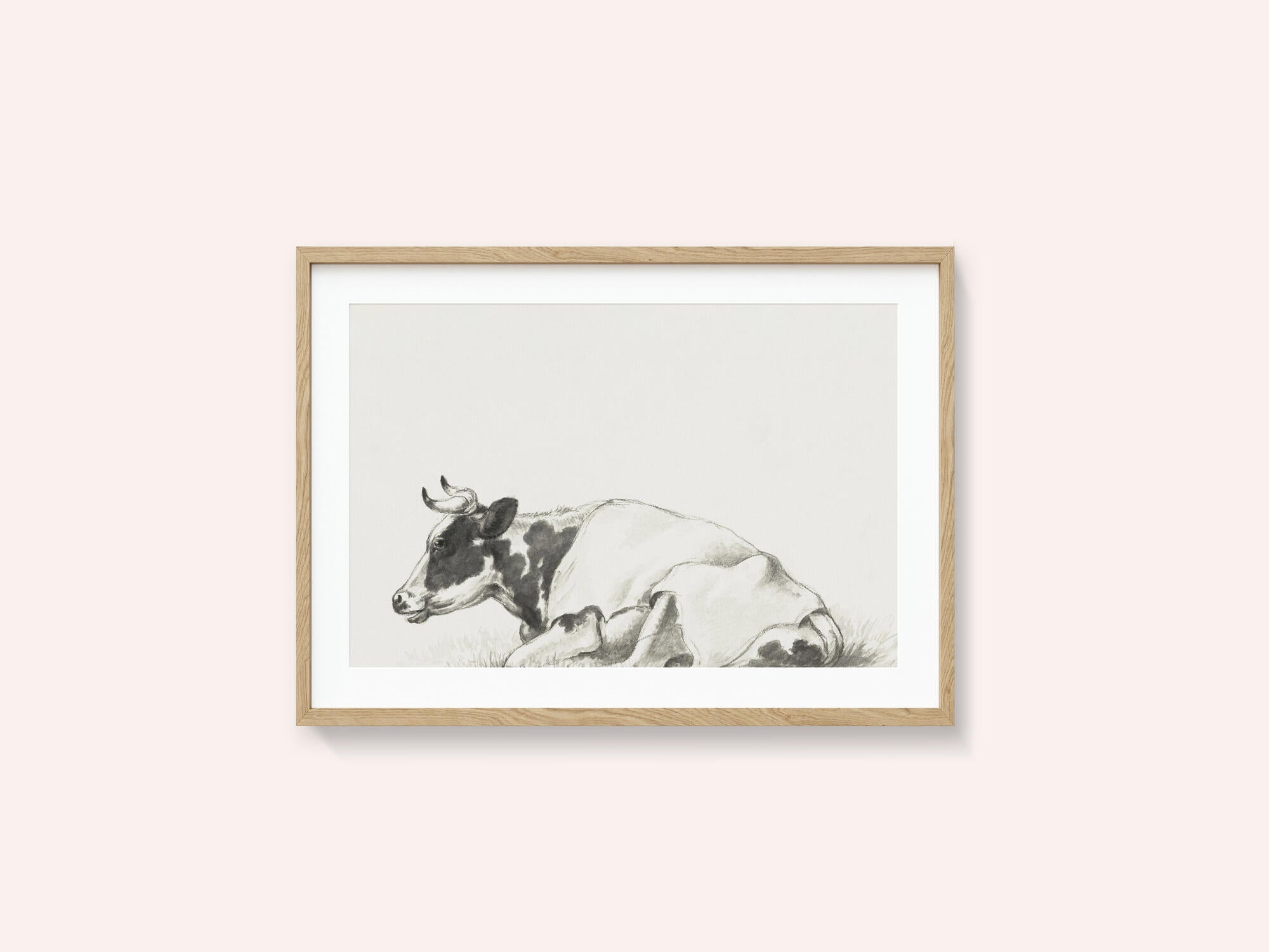 Lying Cow By Jean Bernard