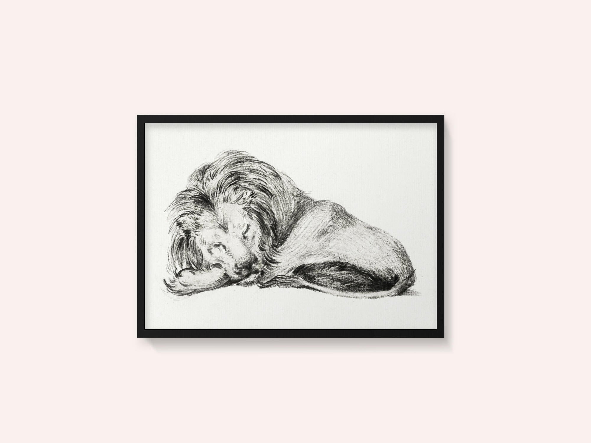 Lying Lion