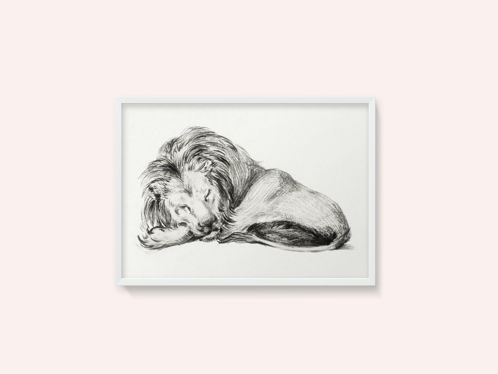 Lying Lion