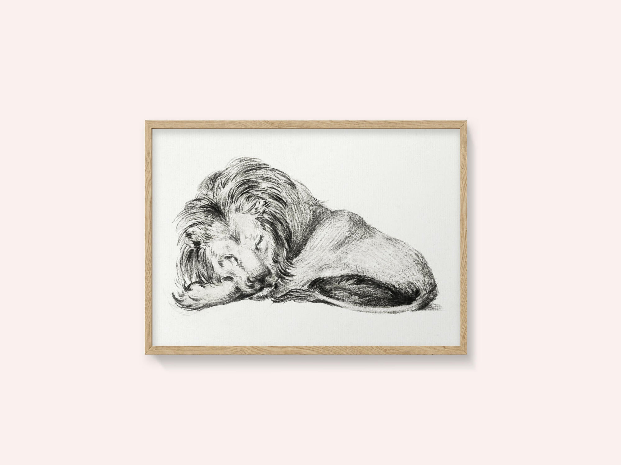 Lying Lion