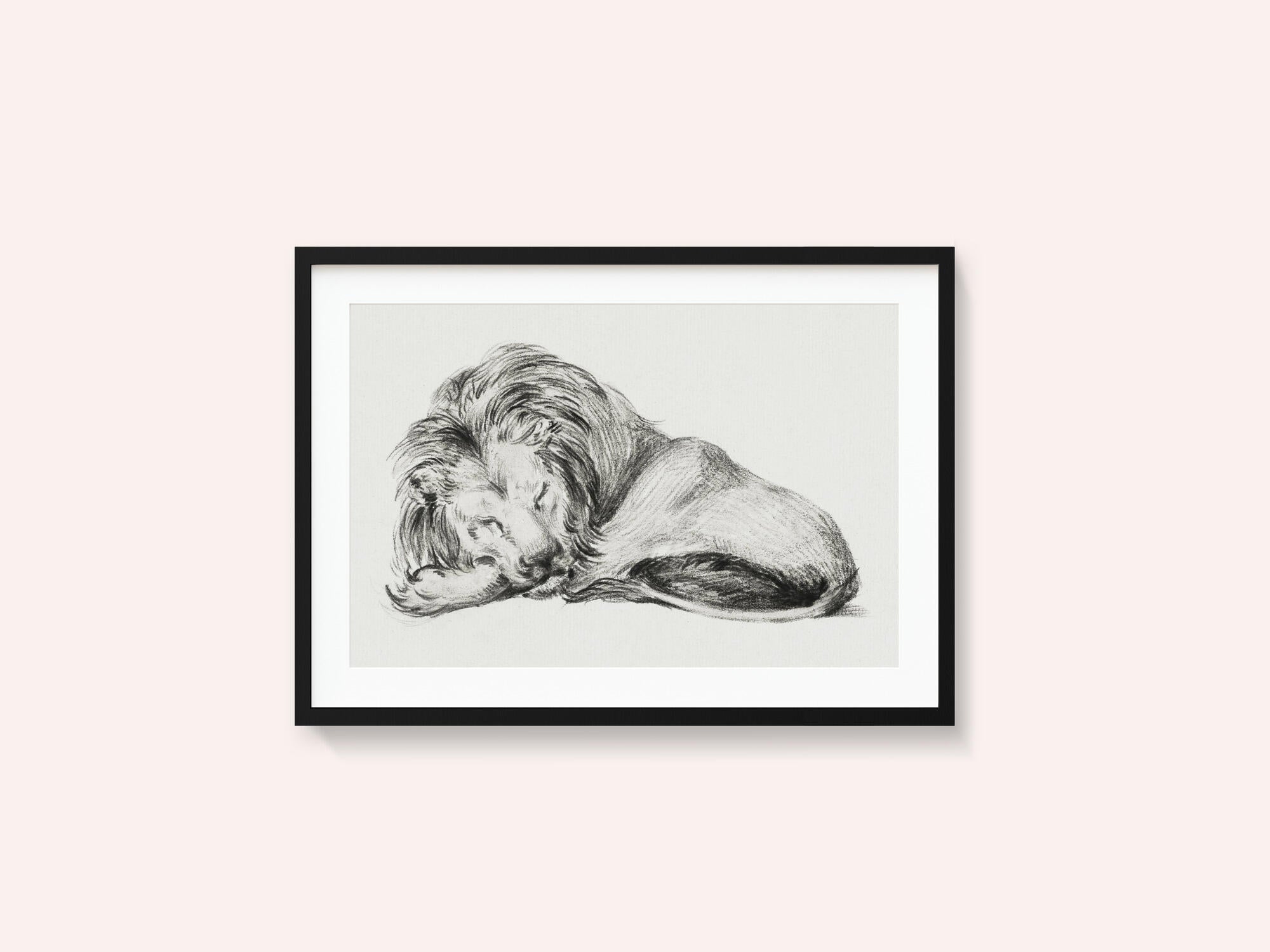 Lying Lion